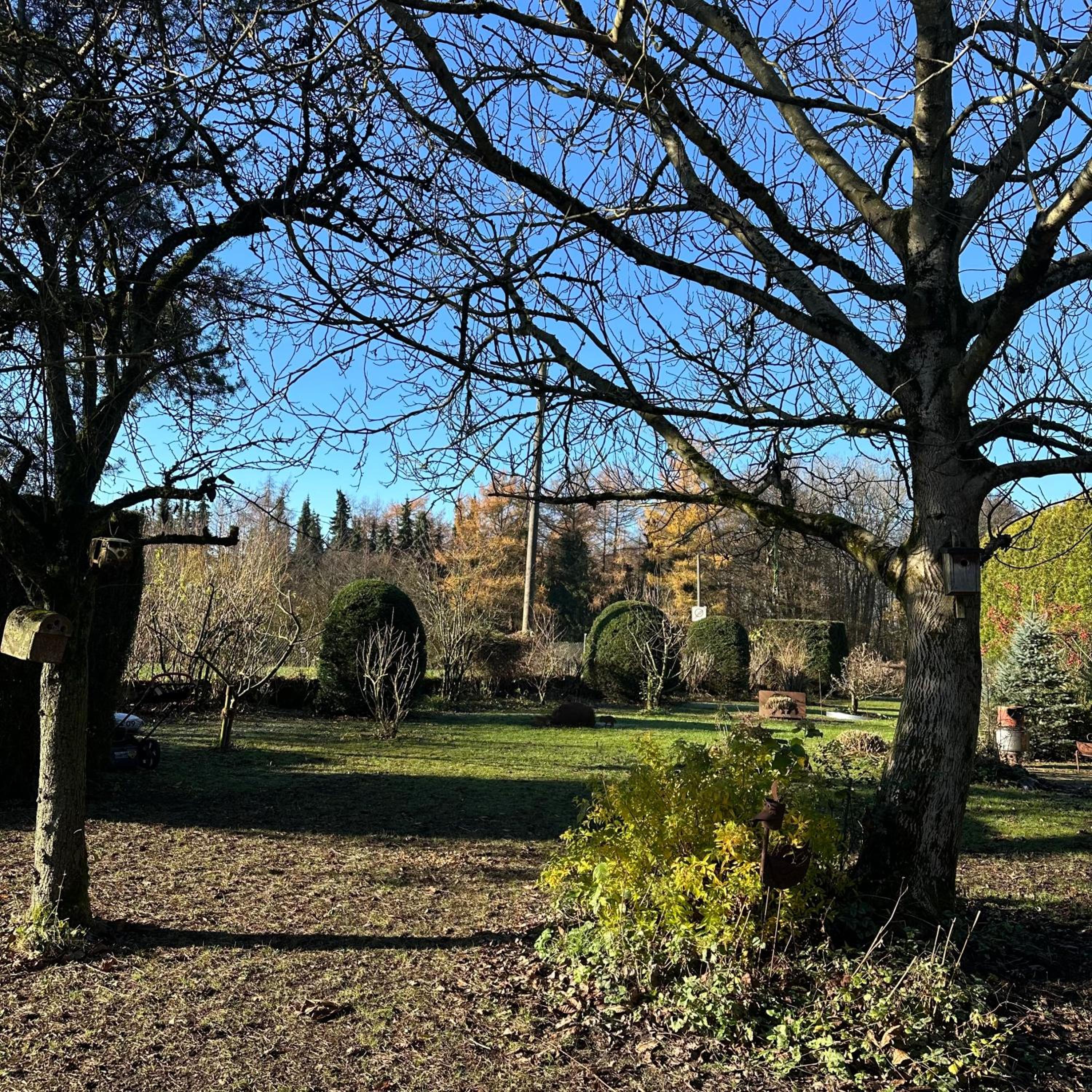 Kleine Auszeit mit Aussicht Velbert Tönisheide, photo 29