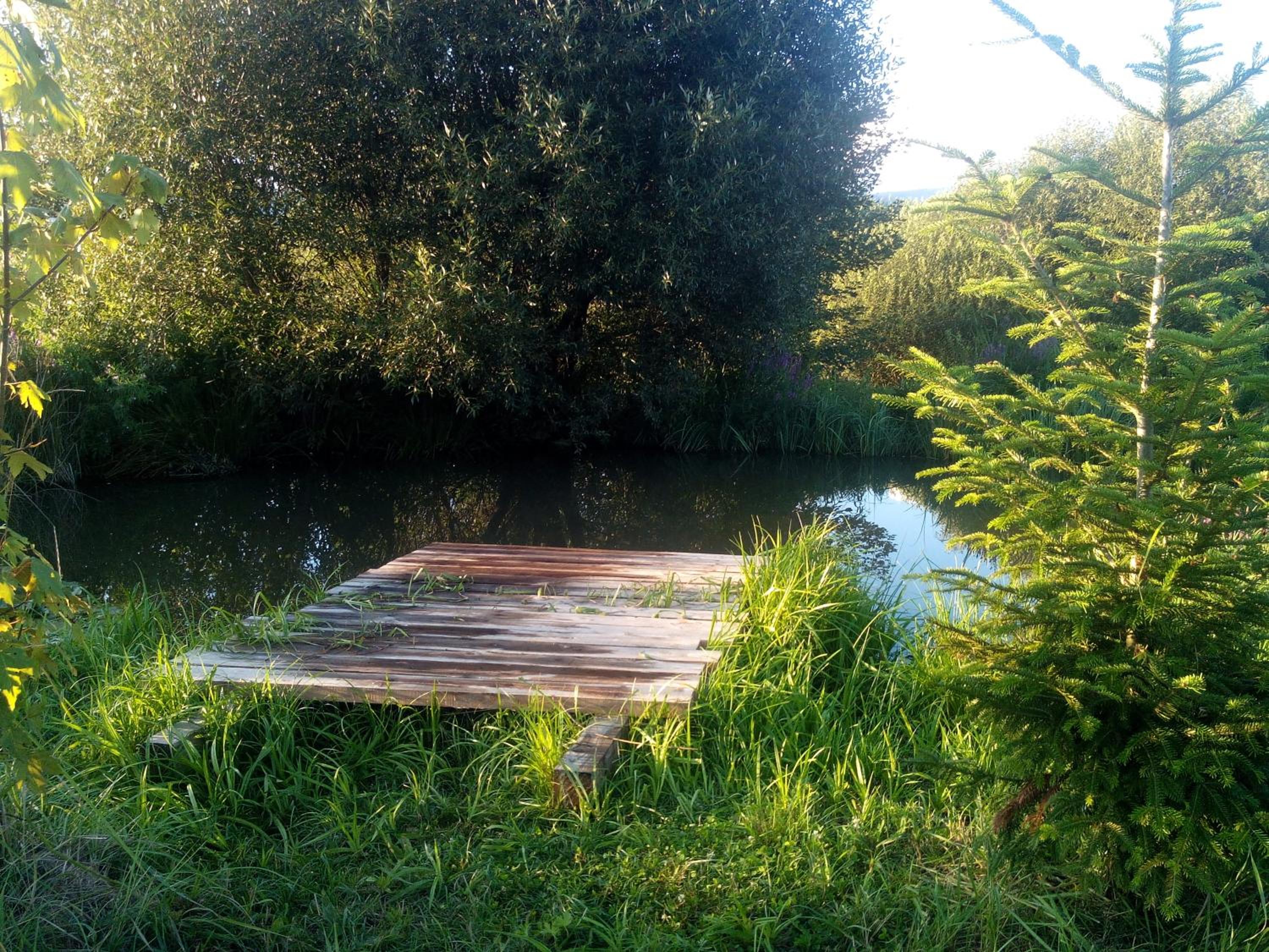 Photo 33