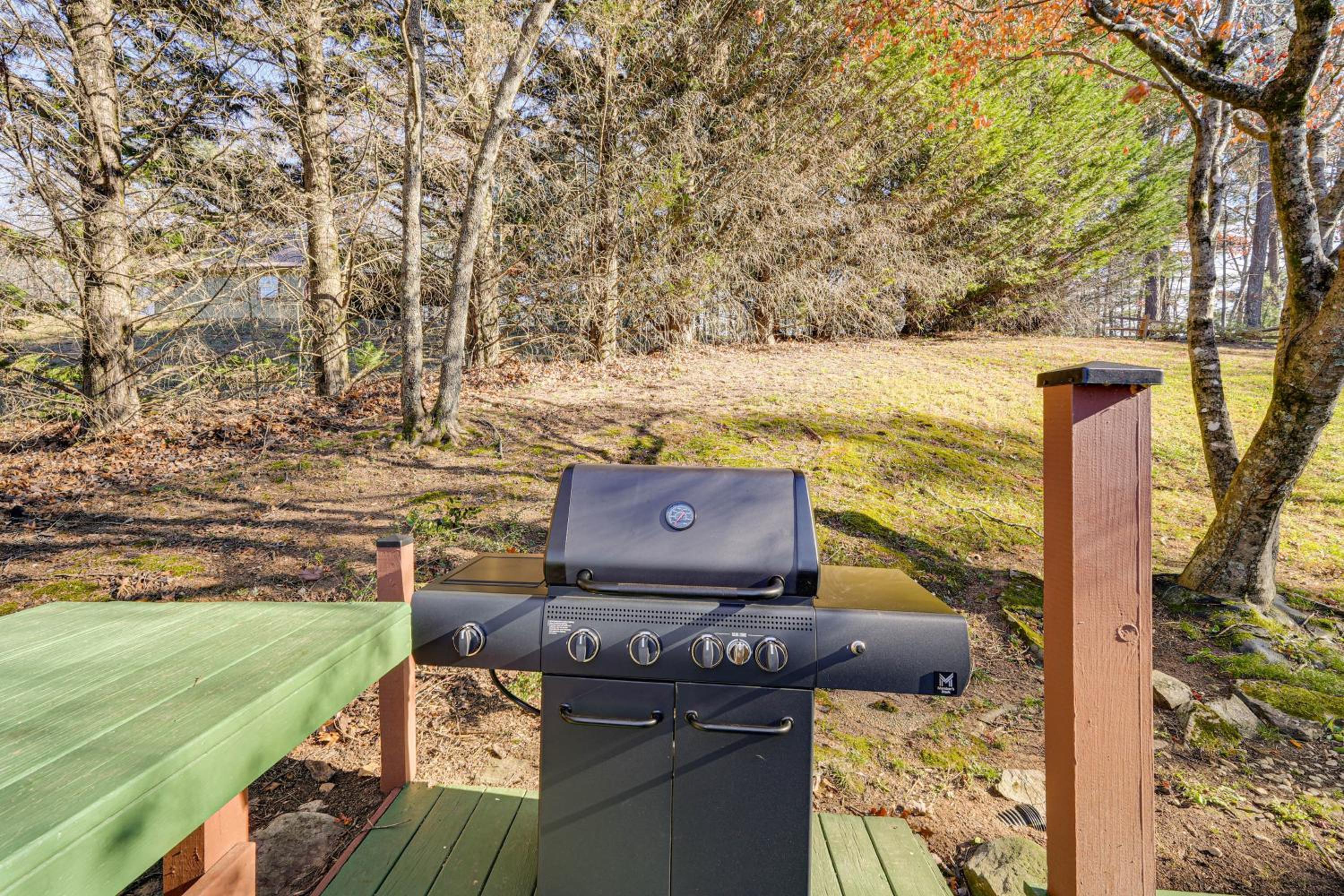 Hot Tub and Views! Squatchs Place in Blairsville
