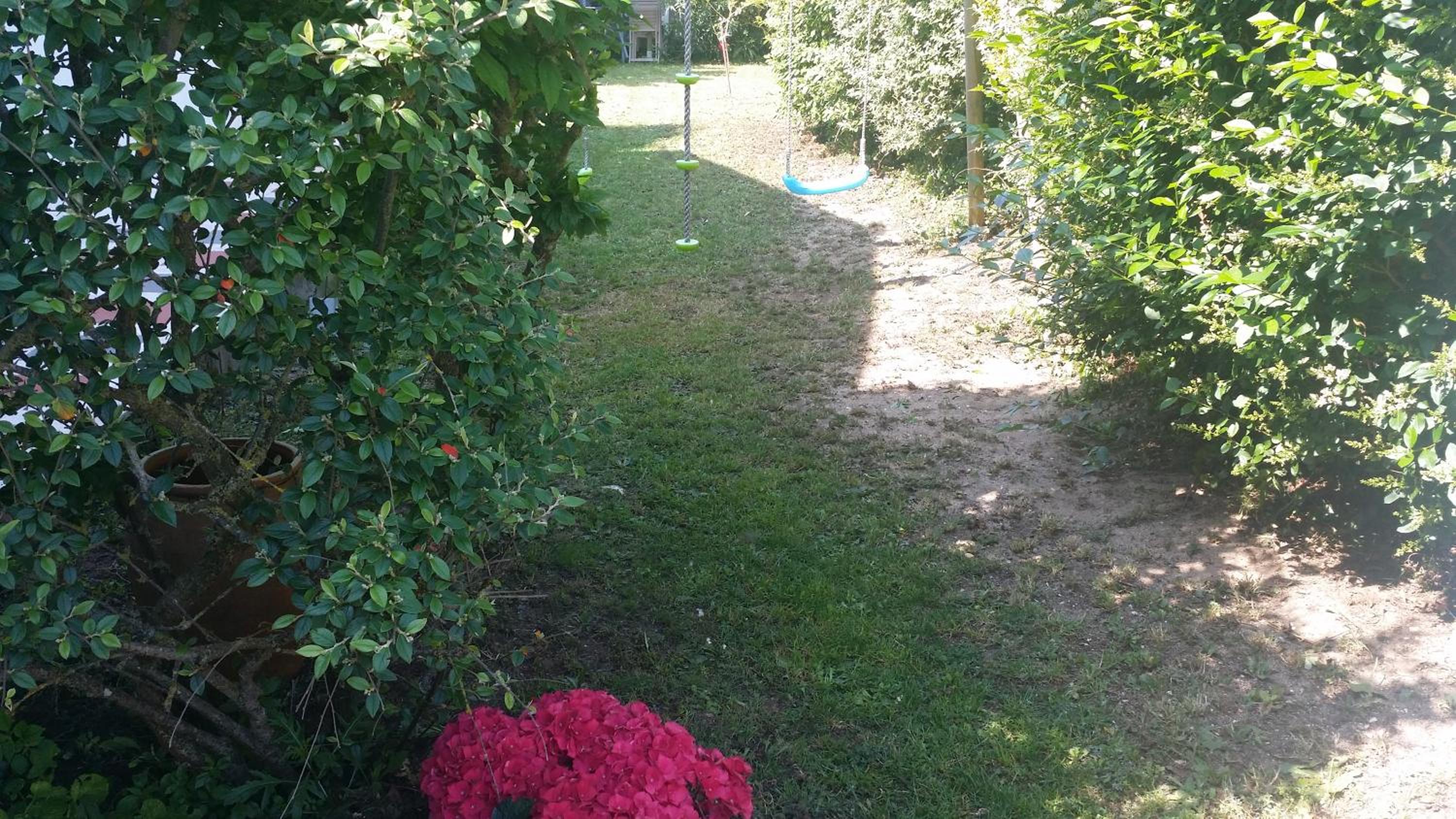 Photo 27