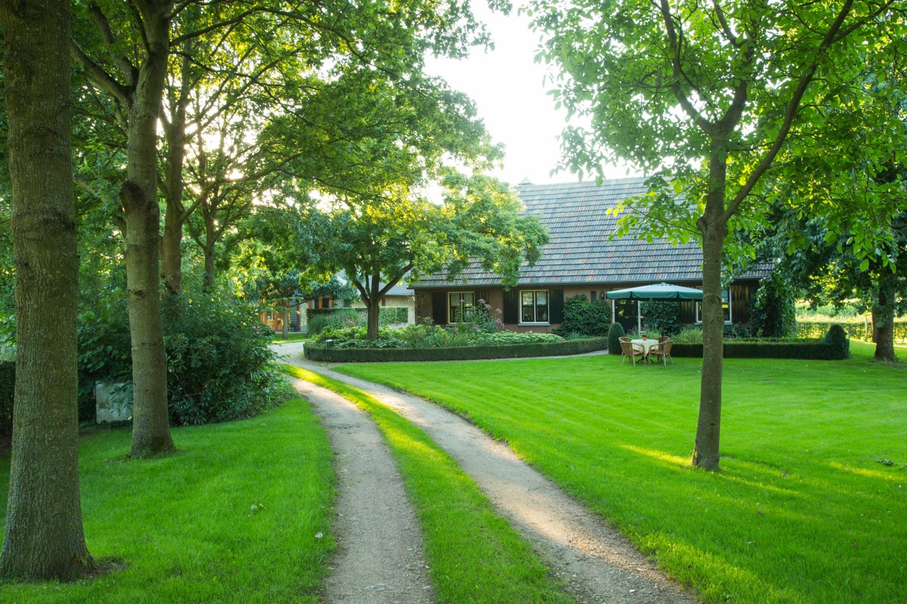 Bed & Breakfast de Wandhorst view 3