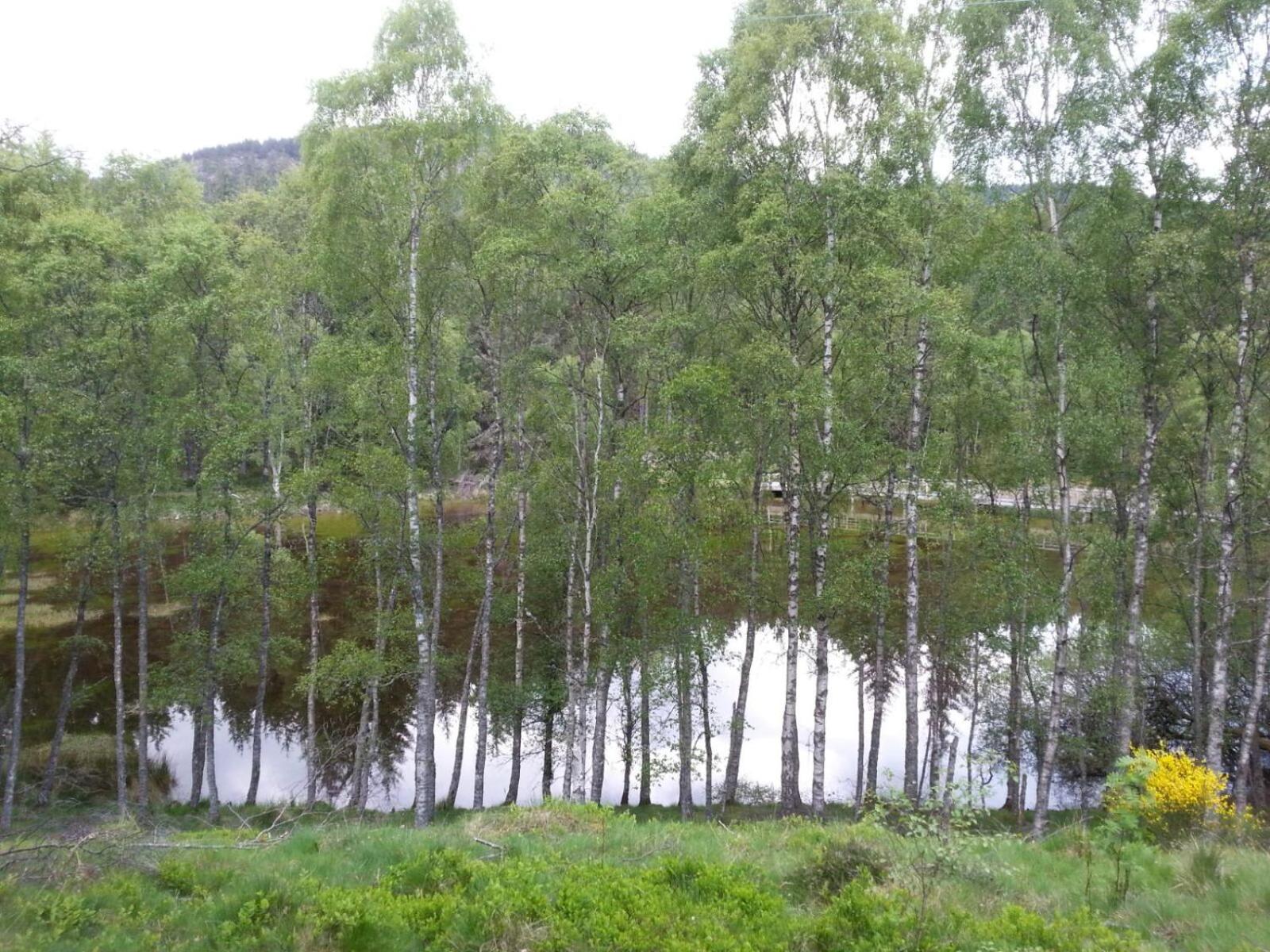 Crannach House bed and breakfast and self catering apartments view 4