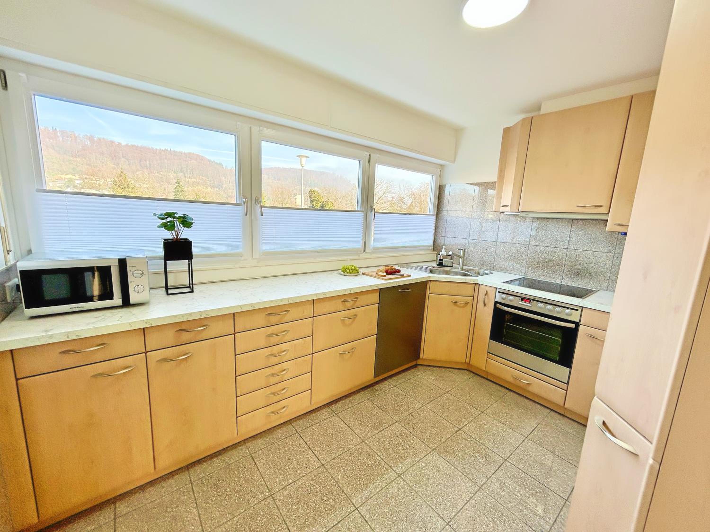 Basilisk Homes - in Grenzach-Wyhlen bei Basel - 4 x Moderne Fewos je 1bis2, 1bis4 oder 1bis6 Pers mit Küche und Balkon oder Terrasse - Parkplätze vorhanden