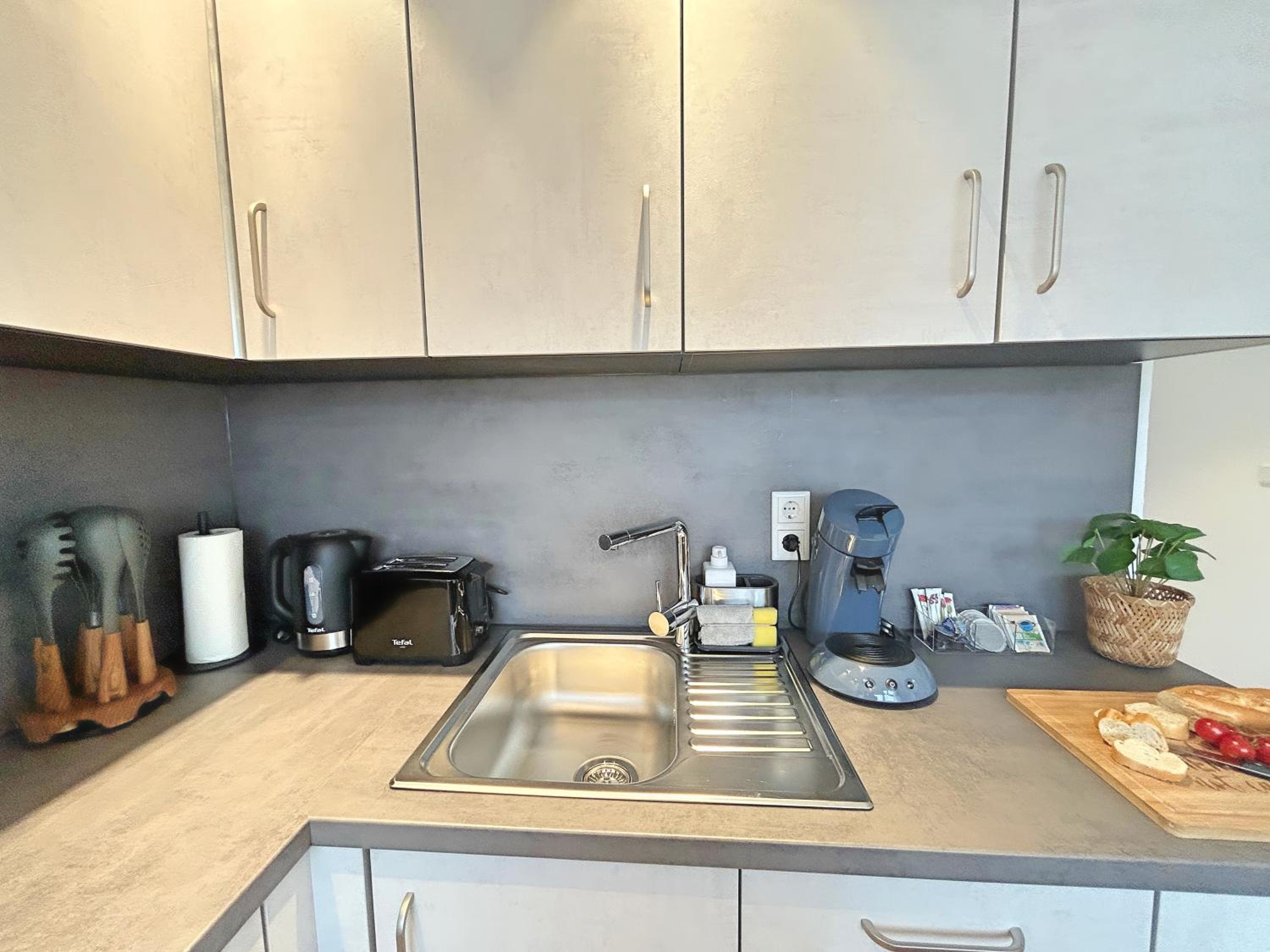 Basilisk Homes - in Grenzach-Wyhlen bei Basel - 4 x Moderne Fewos je 1bis2, 1bis4 oder 1bis6 Pers mit Küche und Balkon oder Terrasse - Parkplätze vorhanden