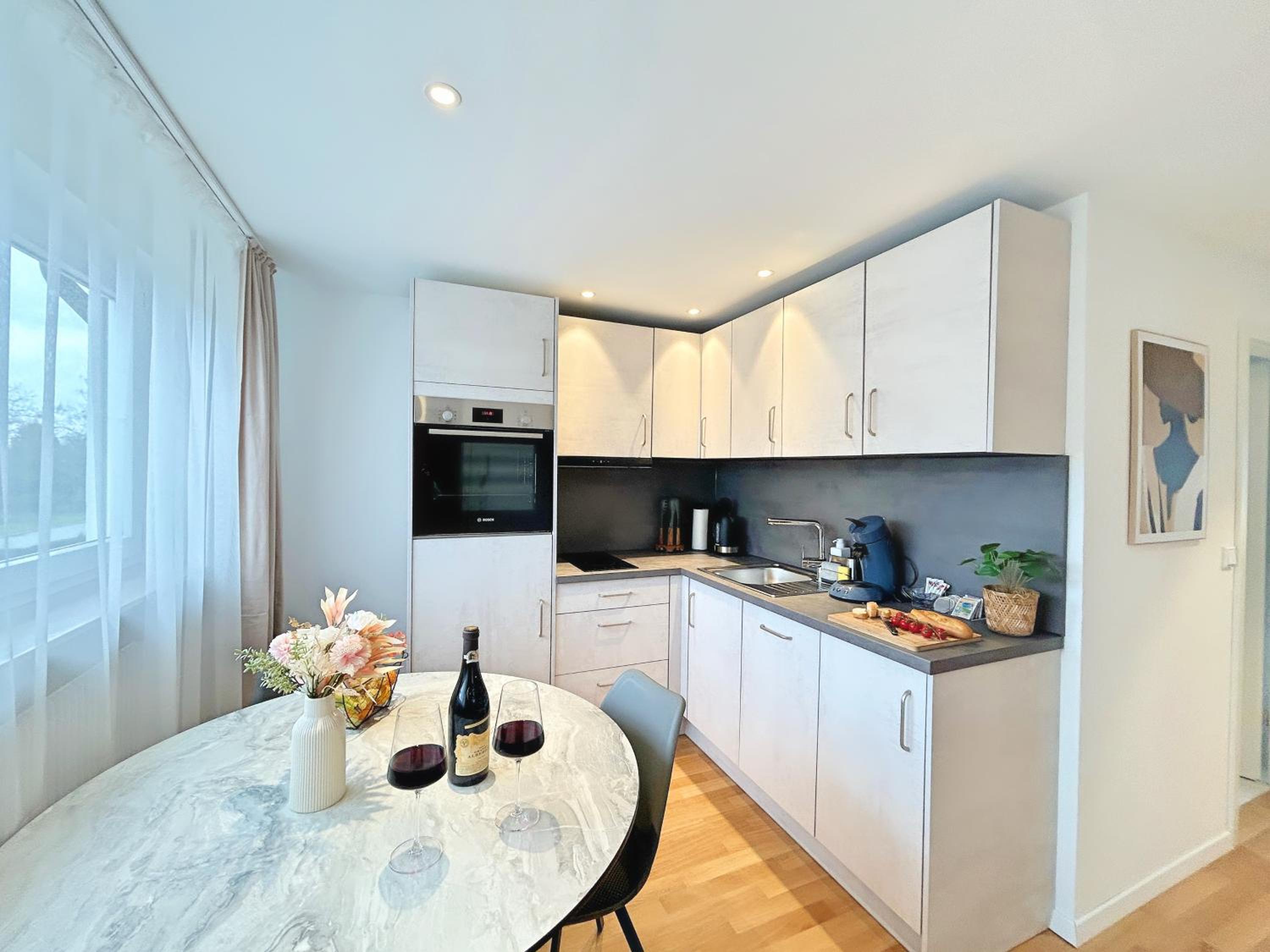 Basilisk Homes - in Grenzach-Wyhlen bei Basel - 4 x Moderne Fewos je 1bis2, 1bis4 oder 1bis6 Pers mit Küche und Balkon oder Terrasse - Parkplätze vorhanden