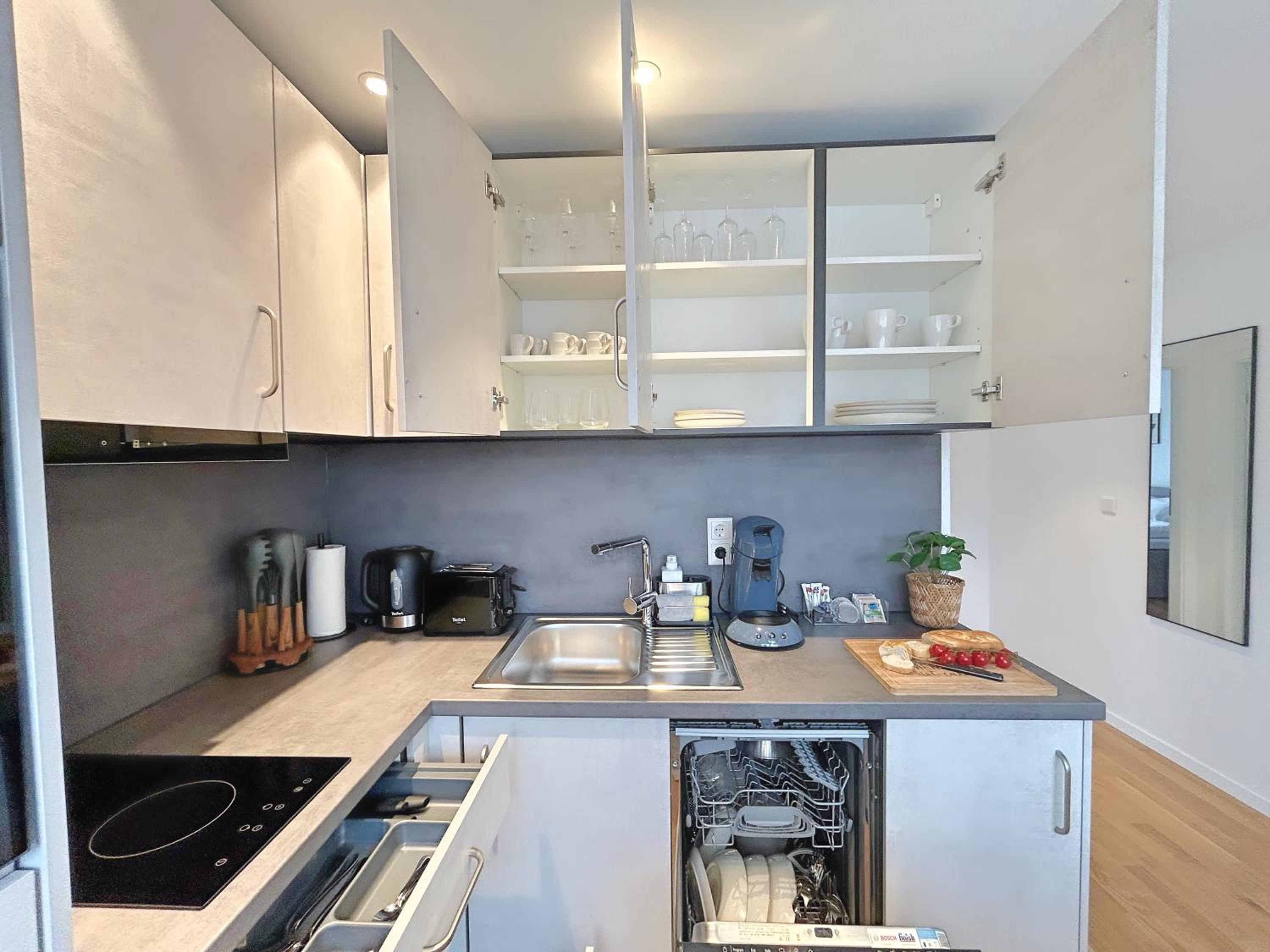 Basilisk Homes - in Grenzach-Wyhlen bei Basel - 4 x Moderne Fewos je 1bis2, 1bis4 oder 1bis6 Pers mit Küche und Balkon oder Terrasse - Parkplätze vorhanden
