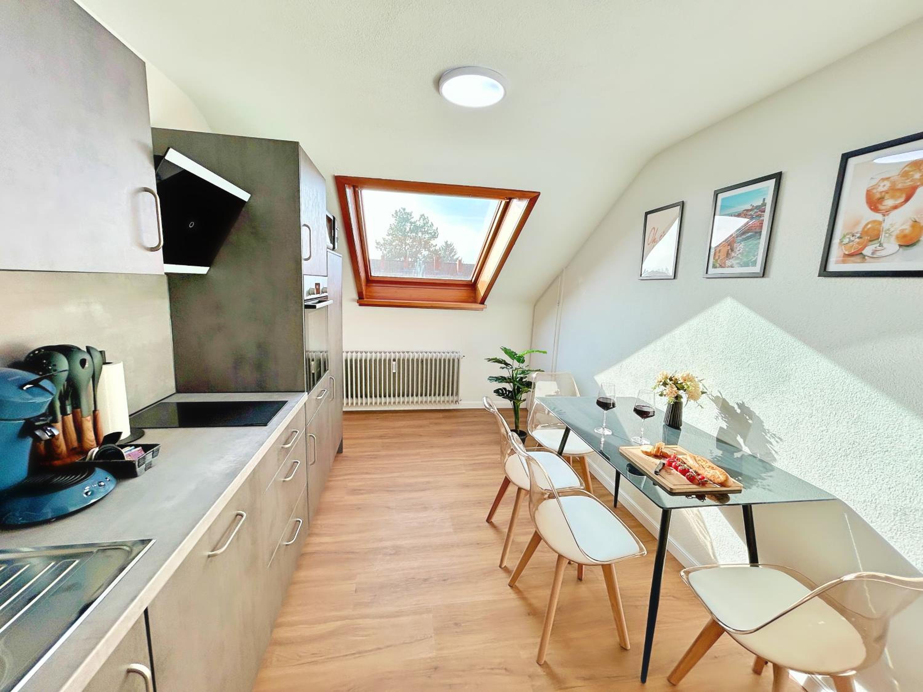 Basilisk Homes - in Grenzach-Wyhlen bei Basel - 4 x Moderne Fewos je 1bis2, 1bis4 oder 1bis6 Pers mit Küche und Balkon oder Terrasse - Parkplätze vorhanden