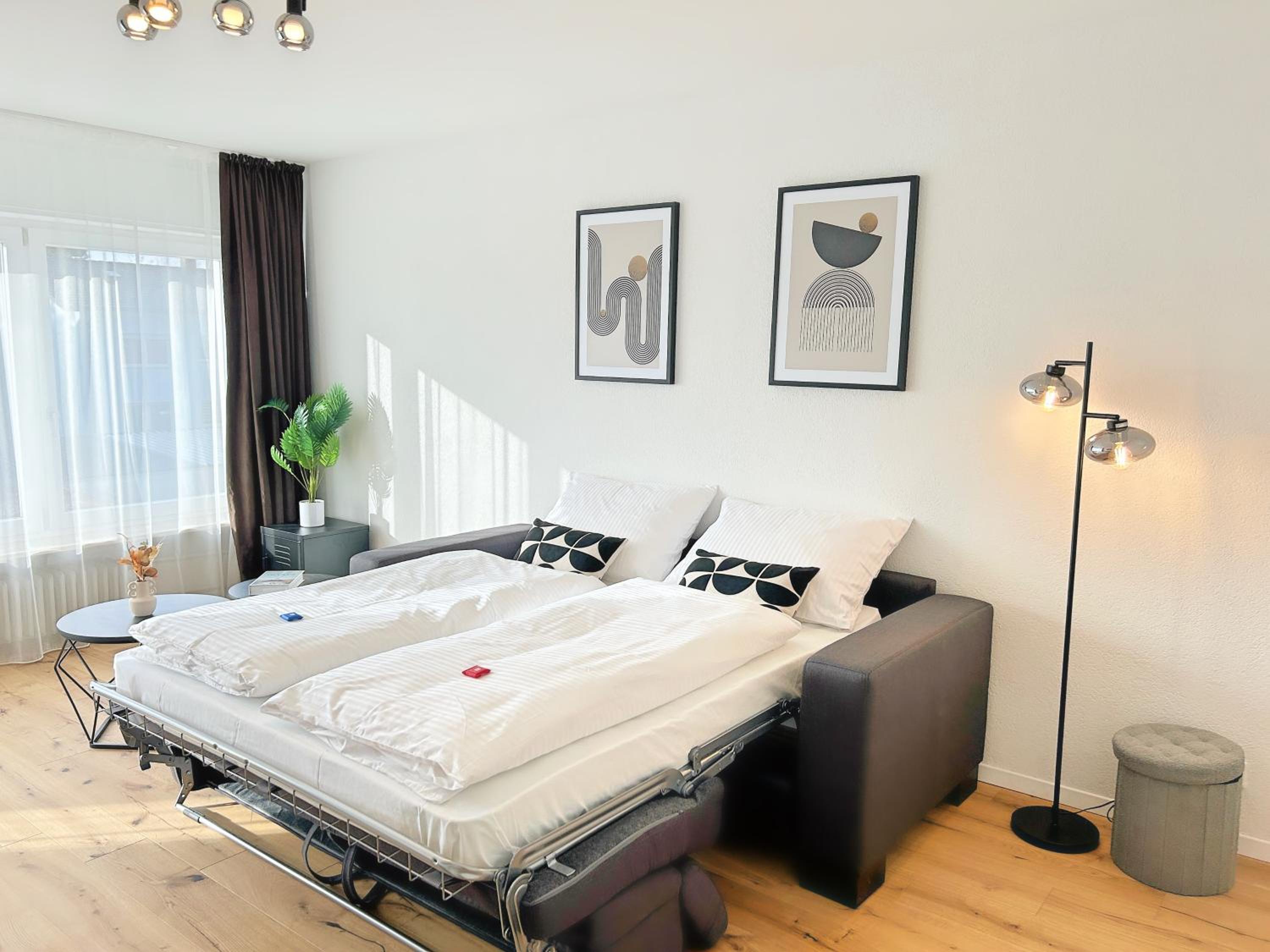 Basilisk Homes - in Grenzach-Wyhlen bei Basel - 4 x Moderne Fewos je 1bis2, 1bis4 oder 1bis6 Pers mit Küche und Balkon oder Terrasse - Parkplätze vorhanden