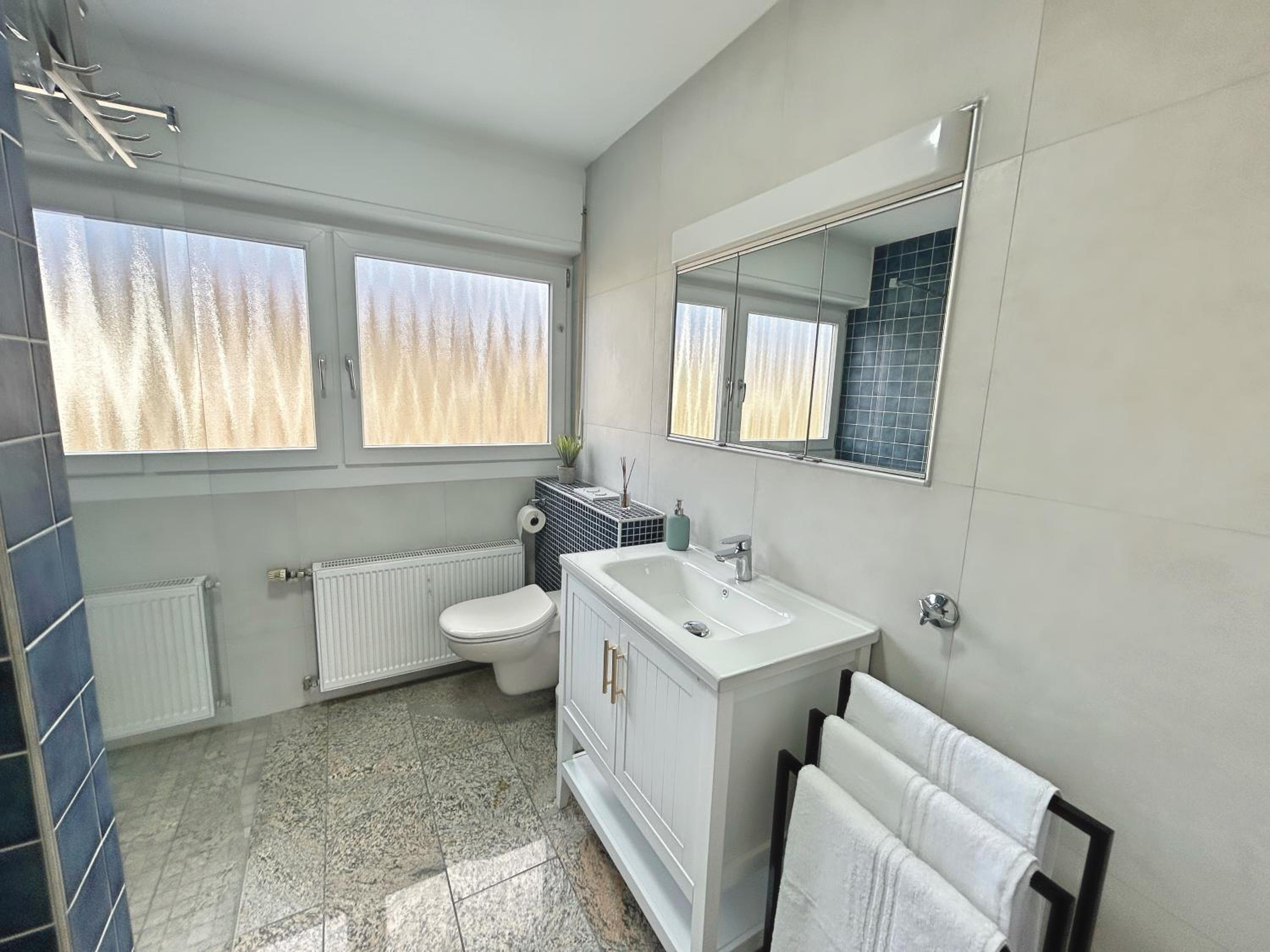 Basilisk Homes - in Grenzach-Wyhlen bei Basel - 4 x Moderne Fewos je 1bis2, 1bis4 oder 1bis6 Pers mit Küche und Balkon oder Terrasse - Parkplätze vorhanden