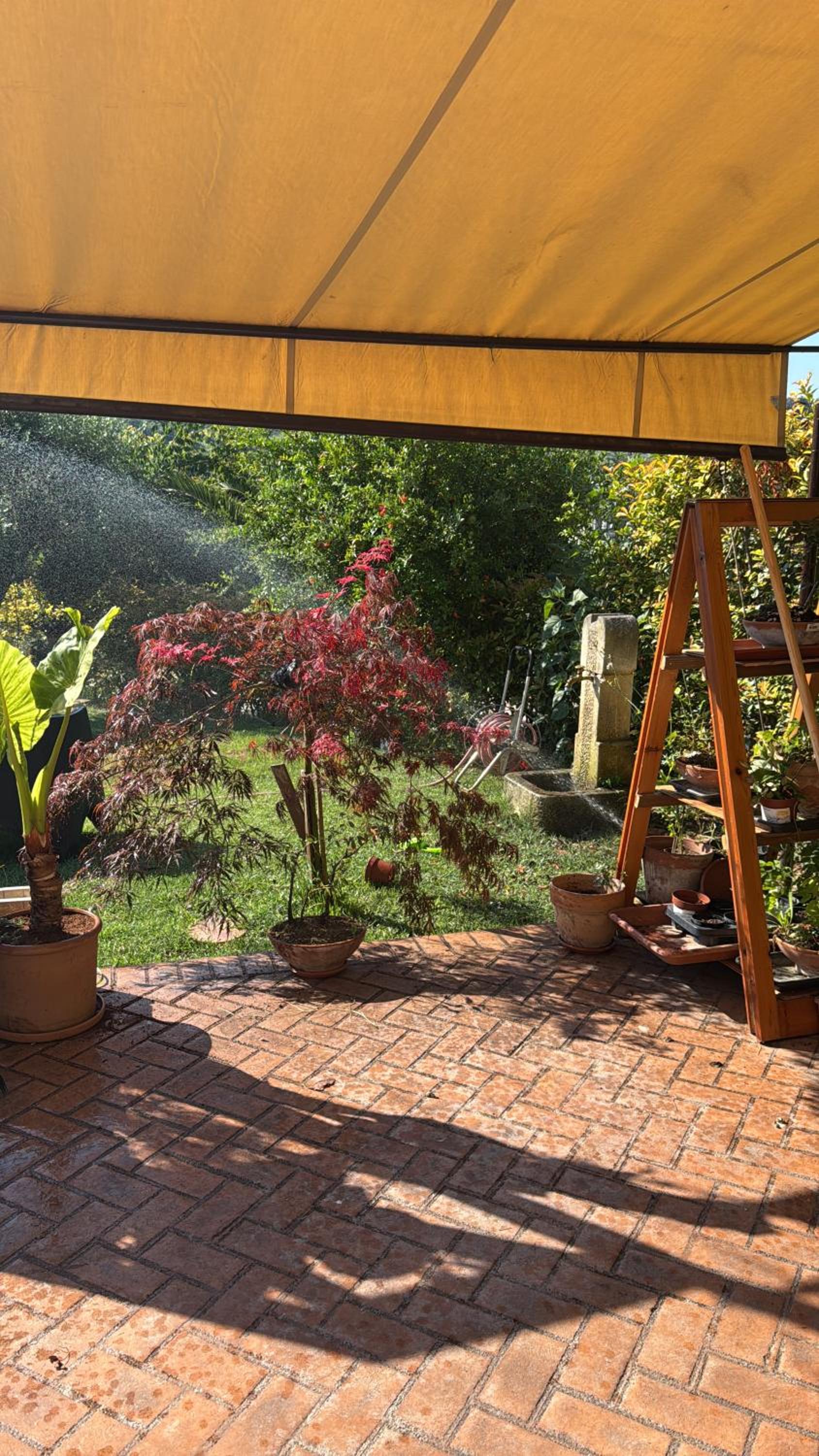 DalGra room e garden