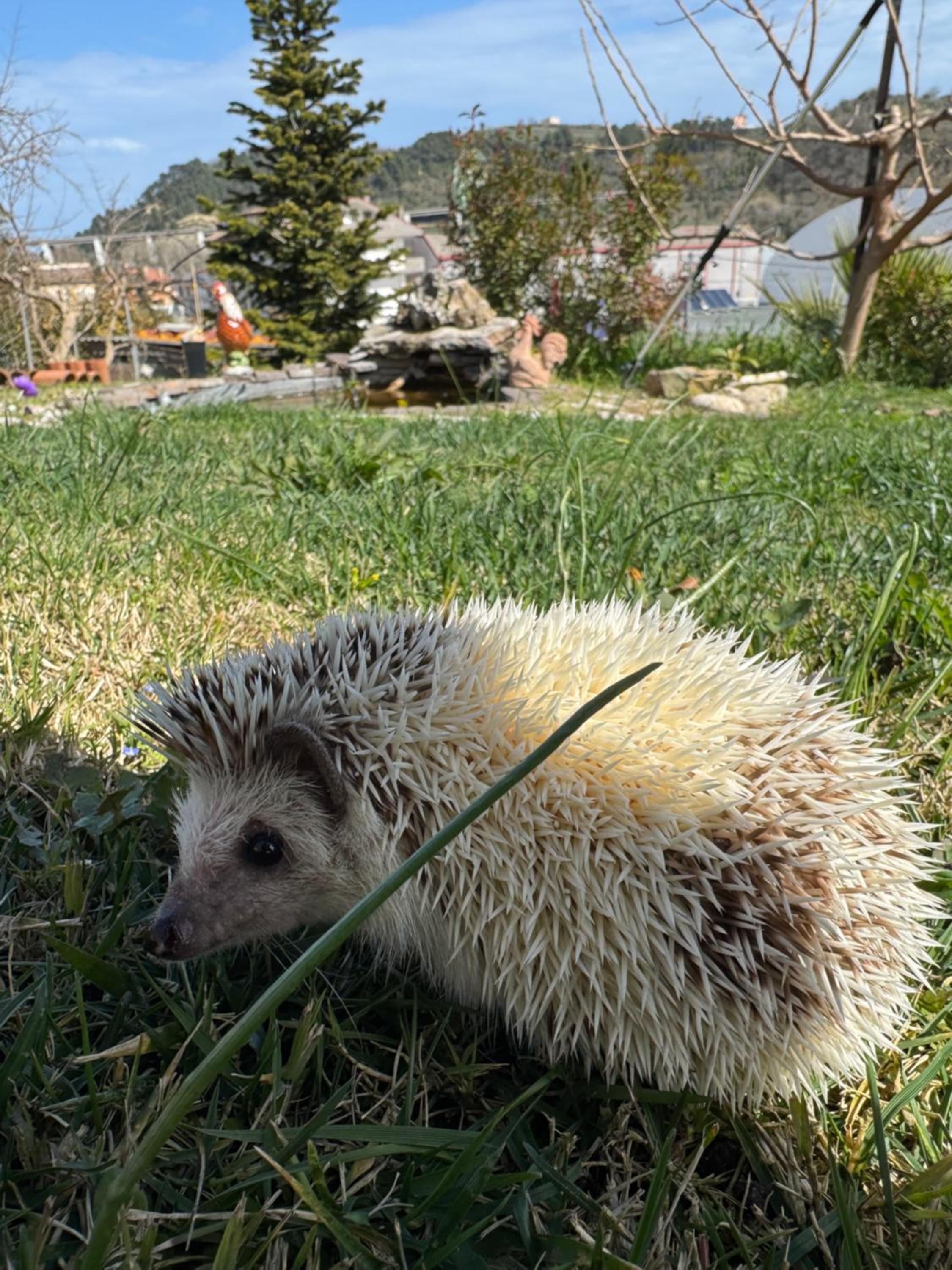 DalGra room e garden