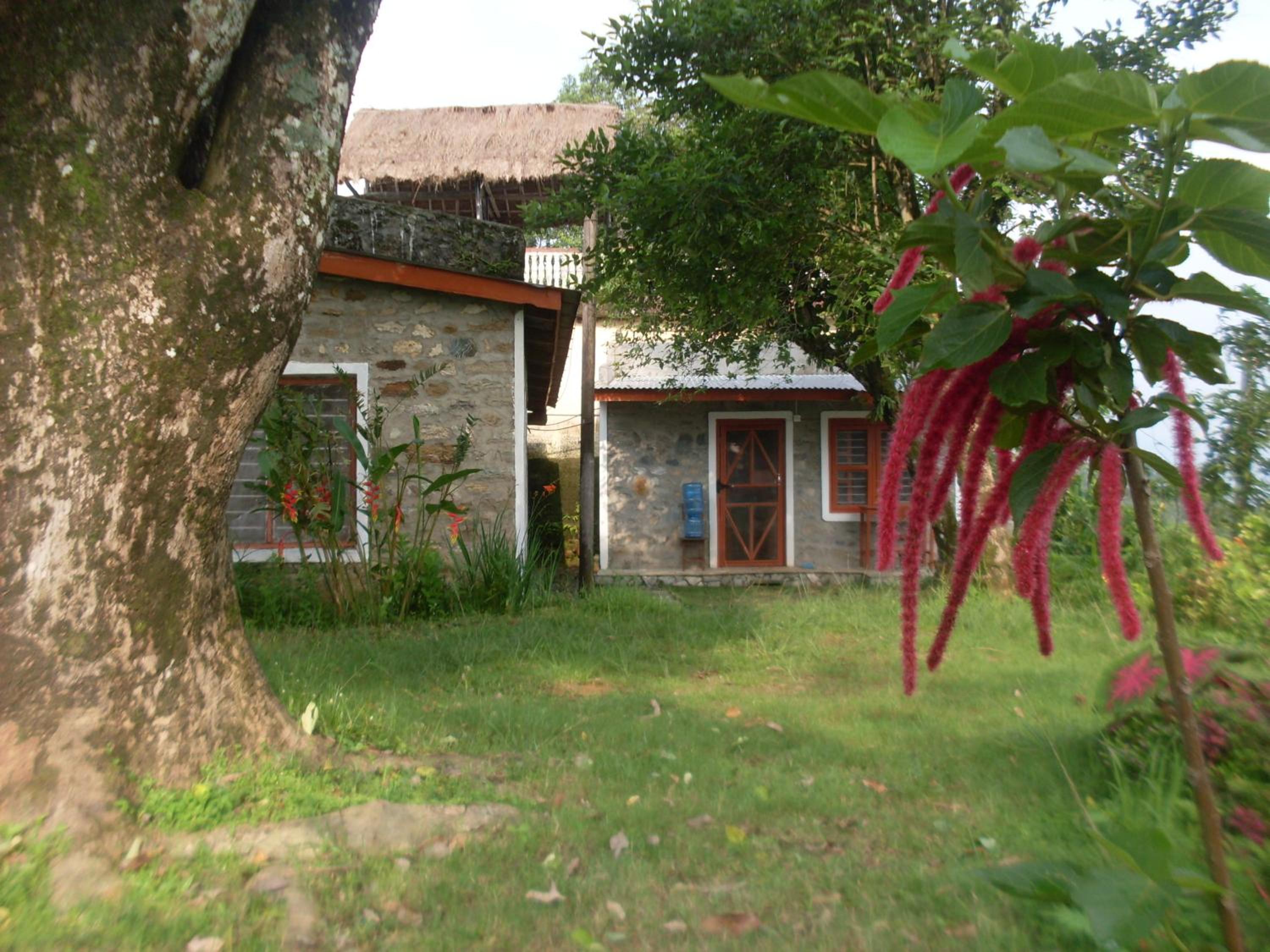 Photo 19