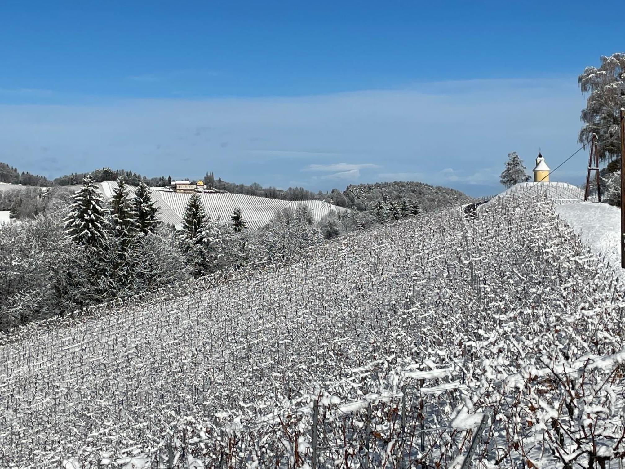 Das KRANACH 28