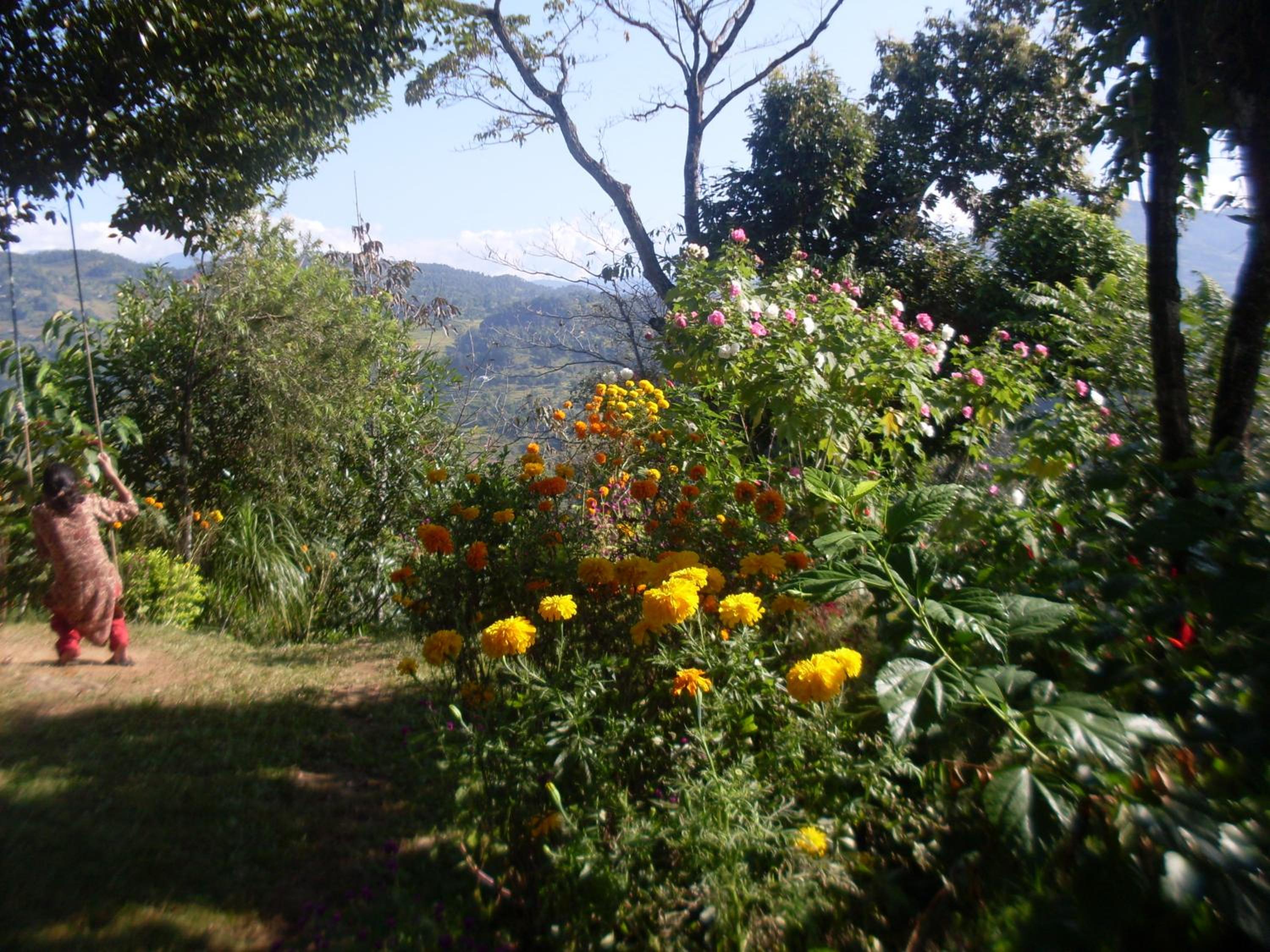 Photo 41