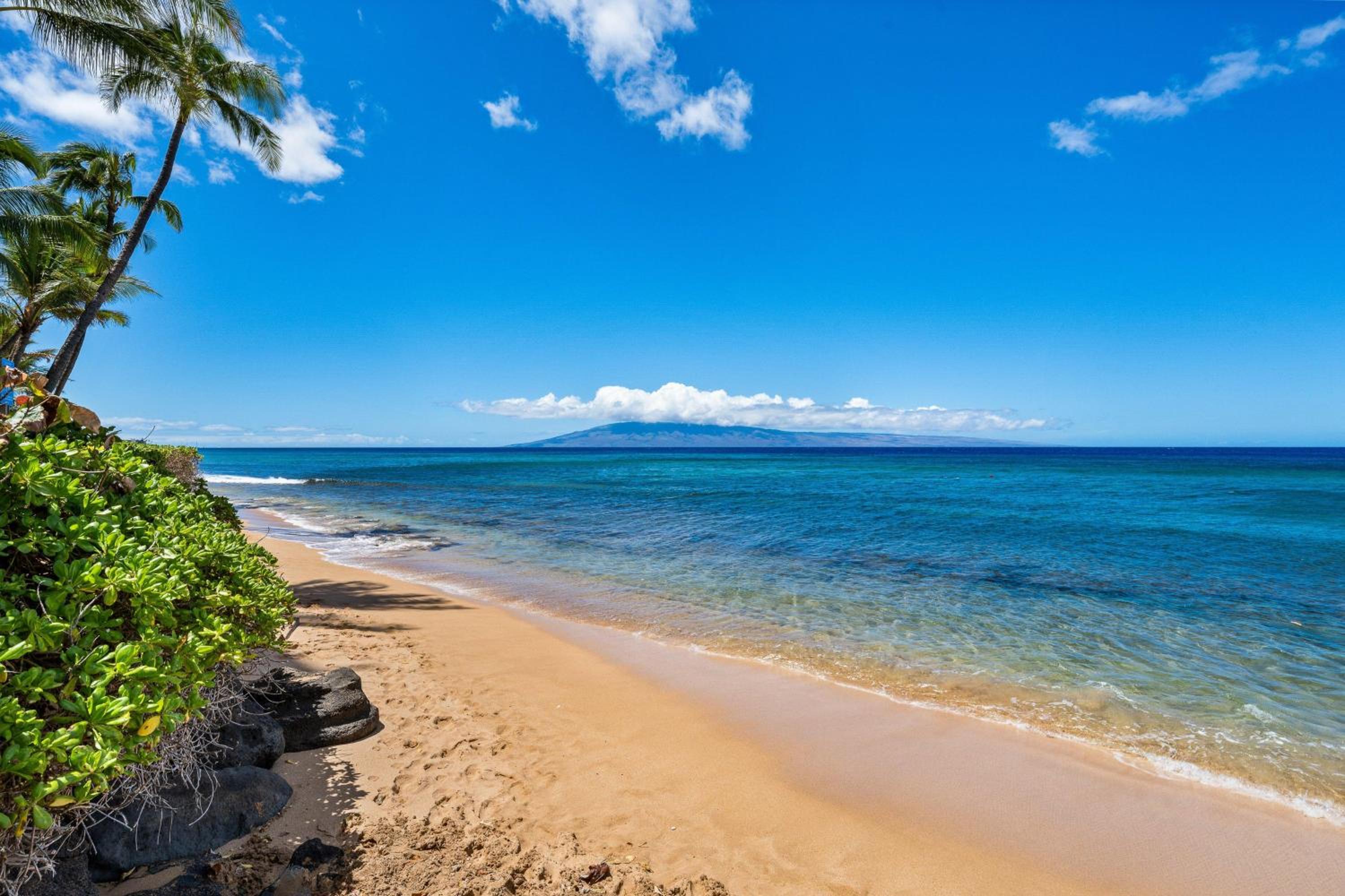 Maui Kai 601 · MK 601 Remodeled Oceanfront Condo w AC Pool