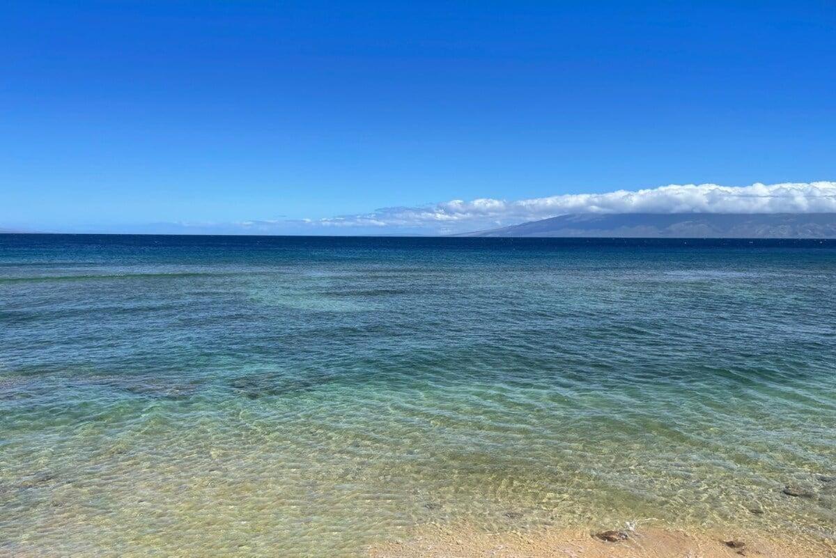 Maui Kai 206 · MK 206 Updated OceanFront Studio w Pool AC Views