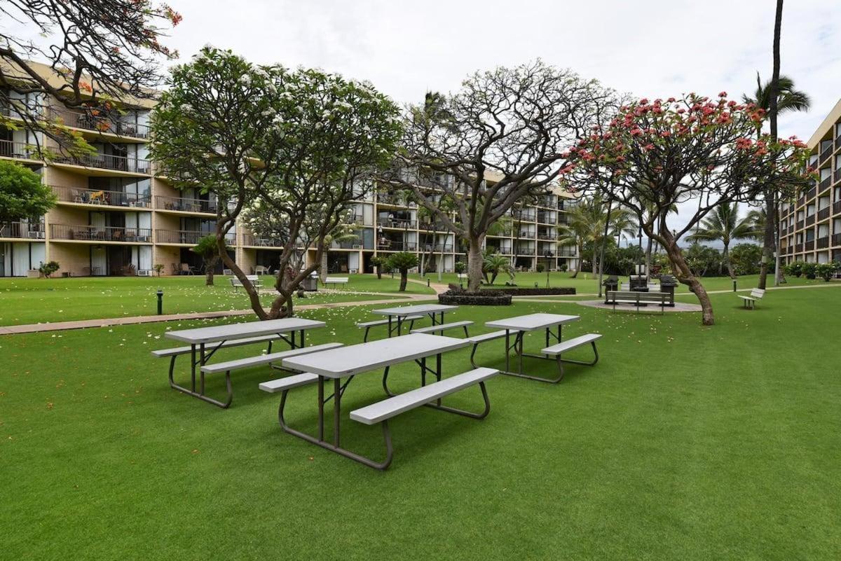 Maui Sunset A404 · MSN A404 OceanFront Remodeled Condo
