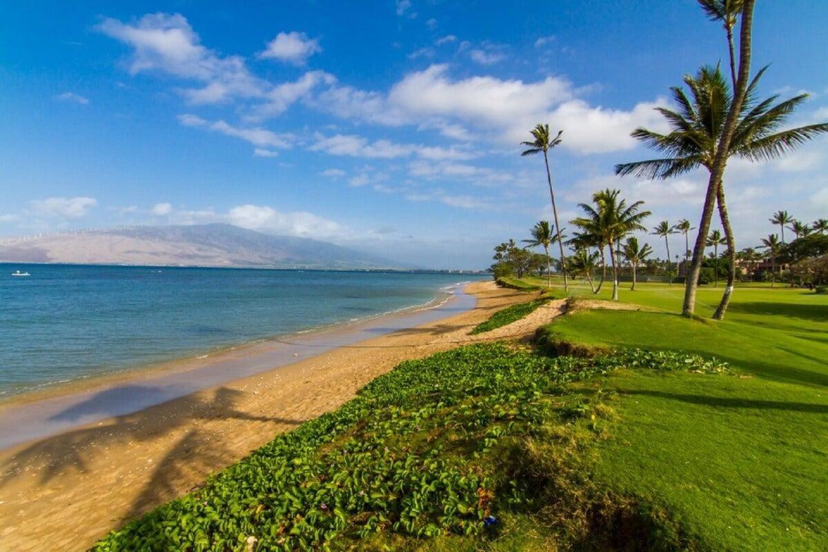 Maui Sunset A404 · MSN A404 OceanFront Remodeled Condo
