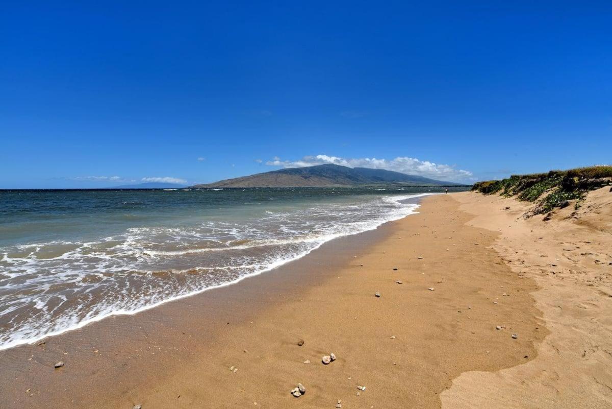 Maui Sunset A404 · MSN A404 OceanFront Remodeled Condo