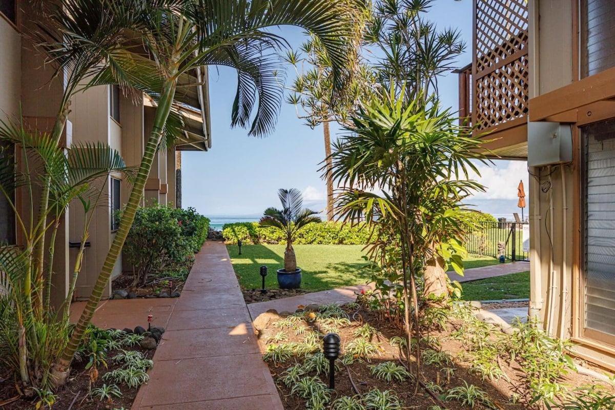 Hale Kai 110 · HKI 110 1BD Condo w Oceanviews and Oceanfront Poo