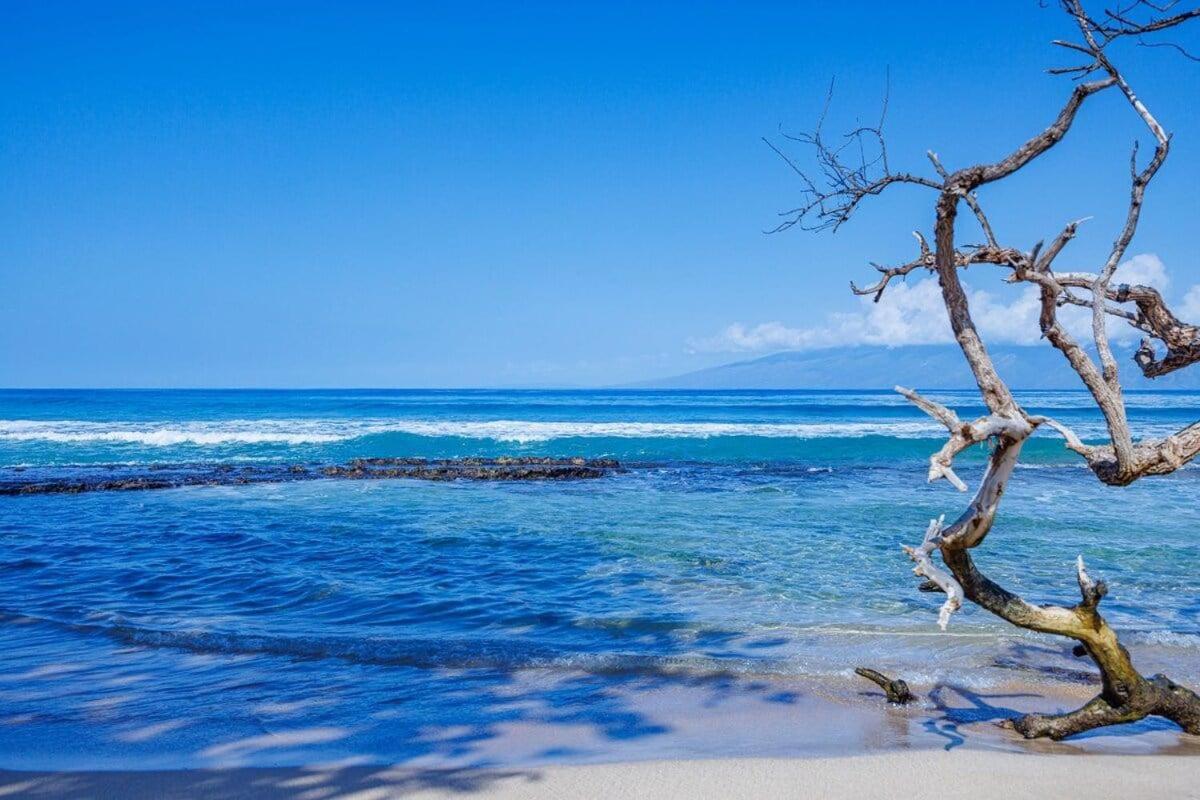 Hale Kai 110 · HKI 110 1BD Condo w Oceanviews and Oceanfront Poo