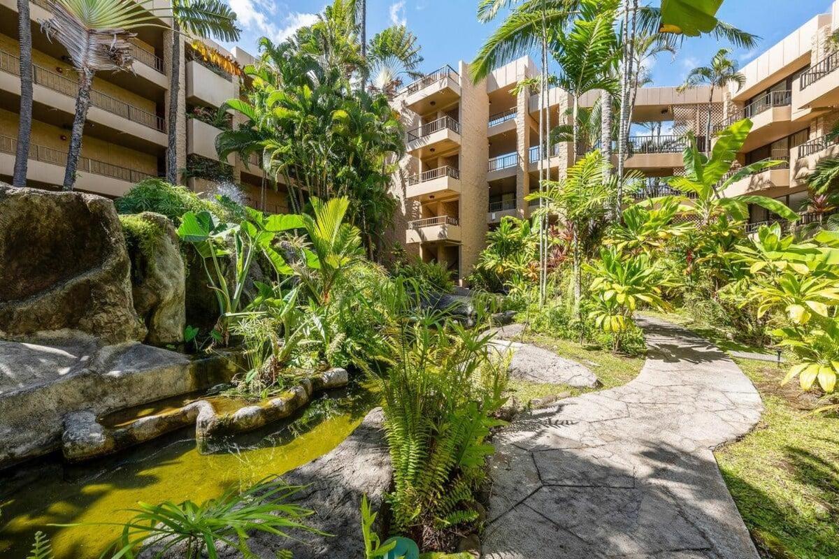 Paki Maui 217 · PM 217 Cozy 1BR Oceanfront Condo w Pool