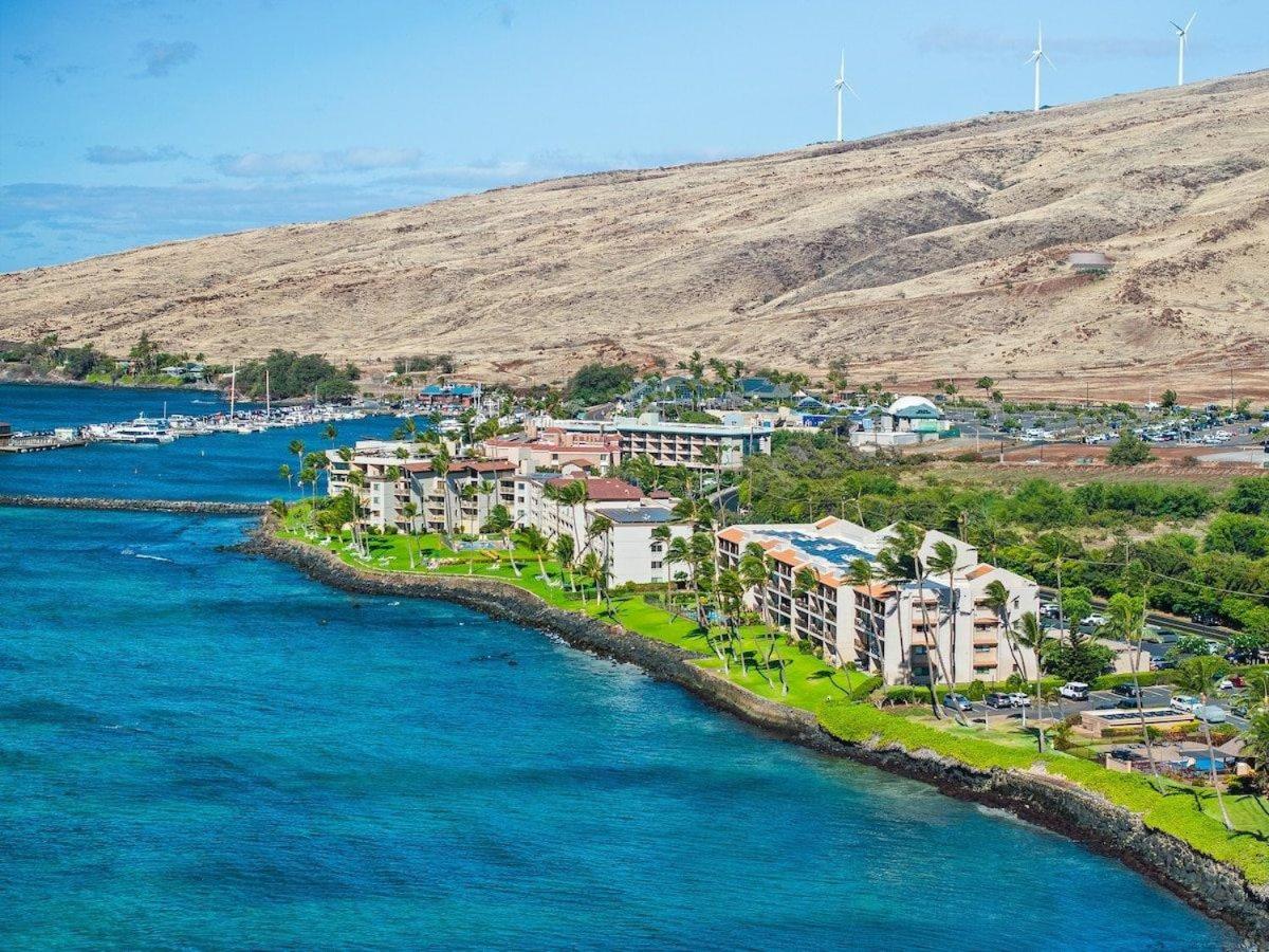 Lauloa 403 · LOA 403 Fully Remodeled Direct Oceanfront 2BD