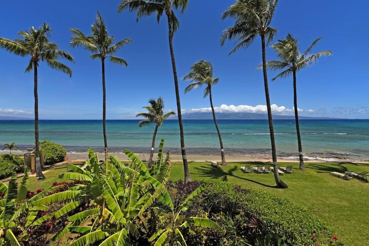 Paki Maui 301 · Direct Oceanfront Views Remodeled 2BD Condo