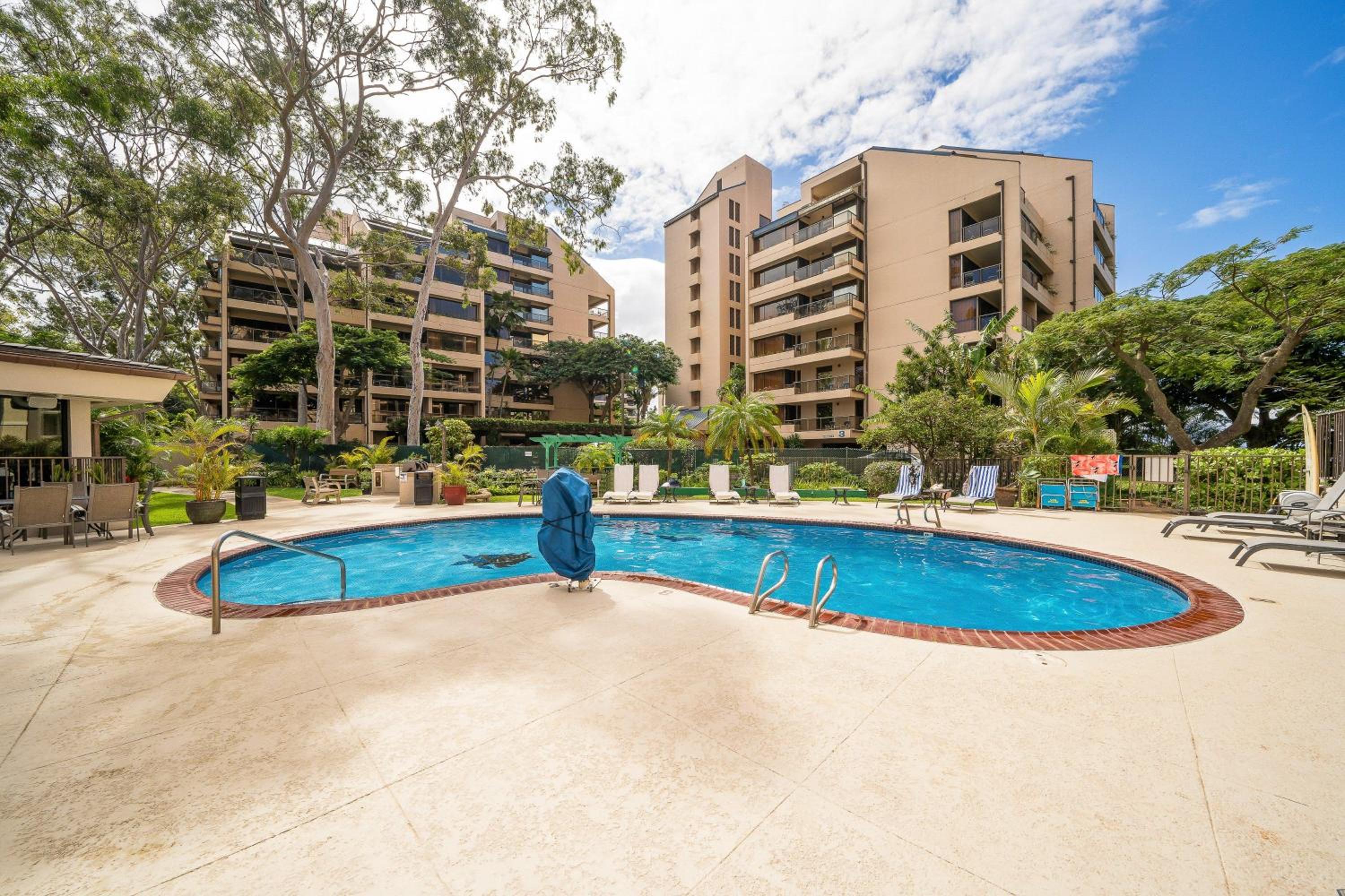 Valley Isle 507