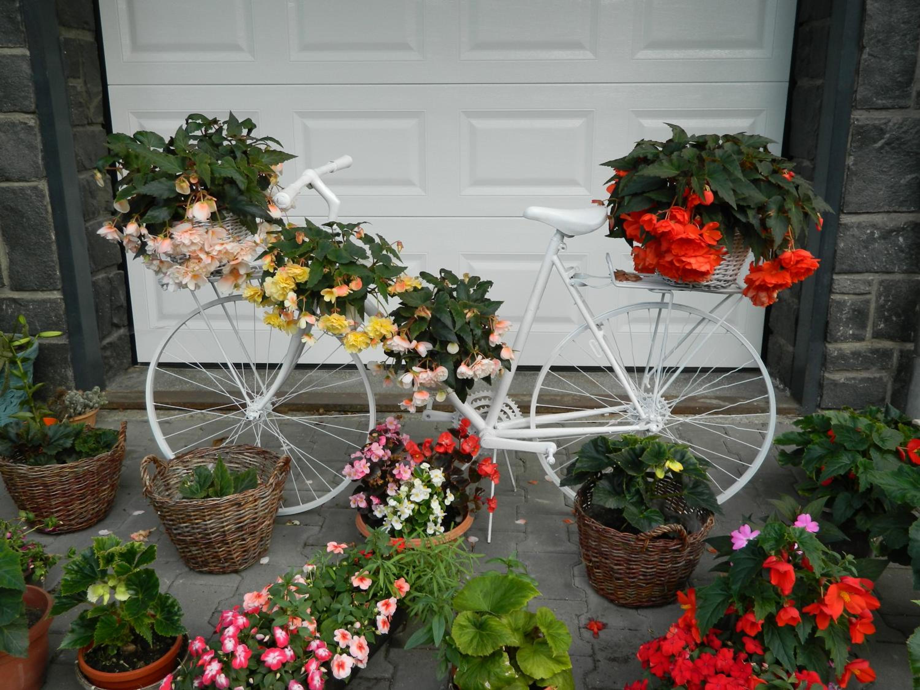 Photo 22