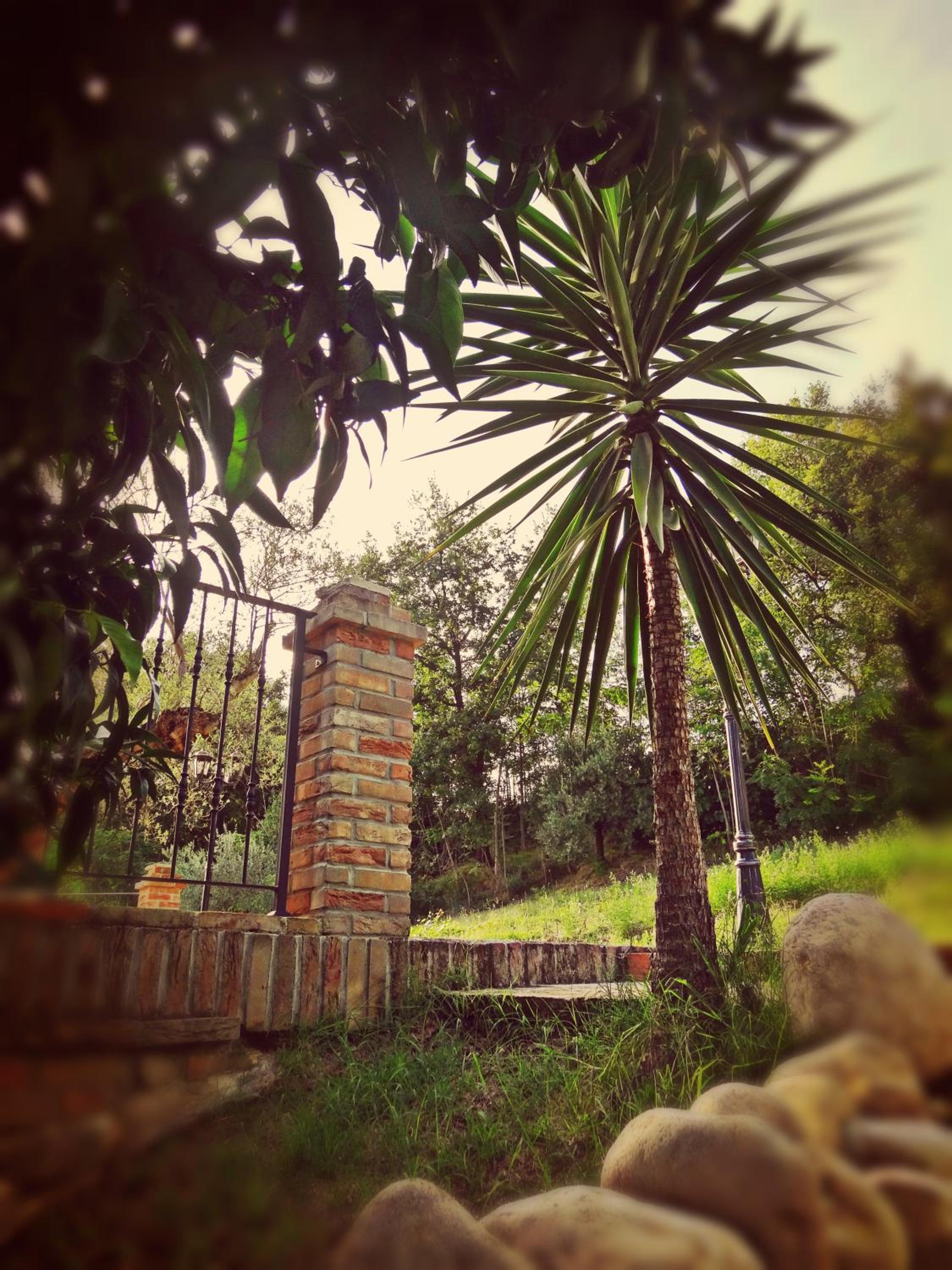 Casale del Sole