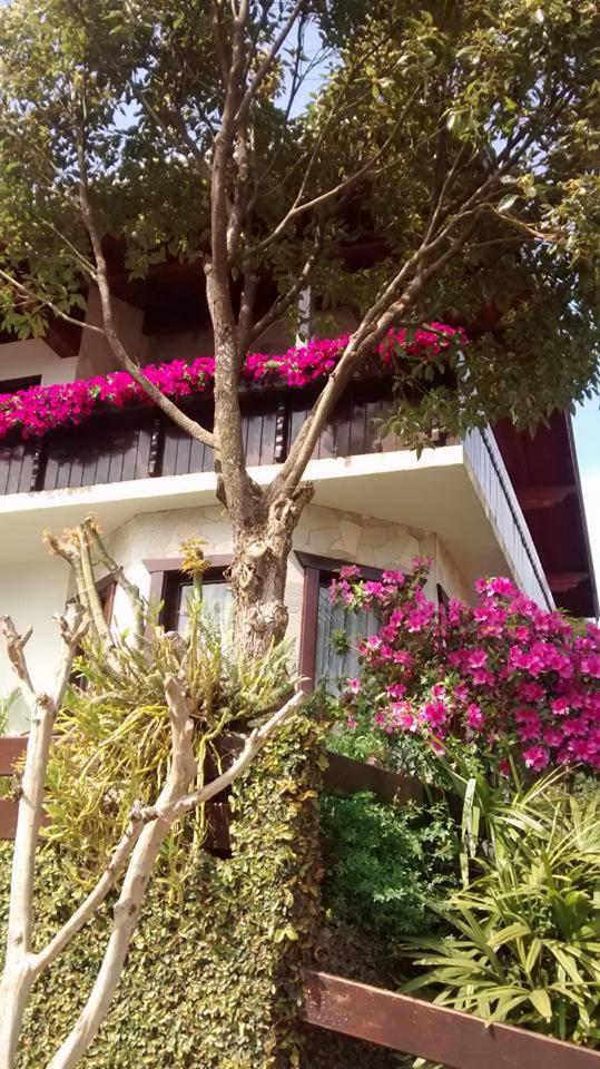 Hospedaria Gãstehaus Enzian