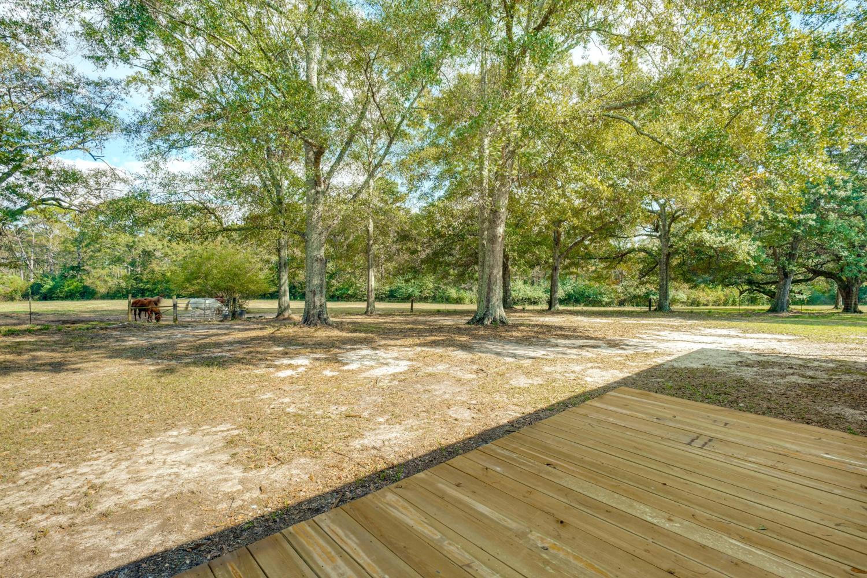6 Mi to Main St Poplarville Cabin with Pasture View