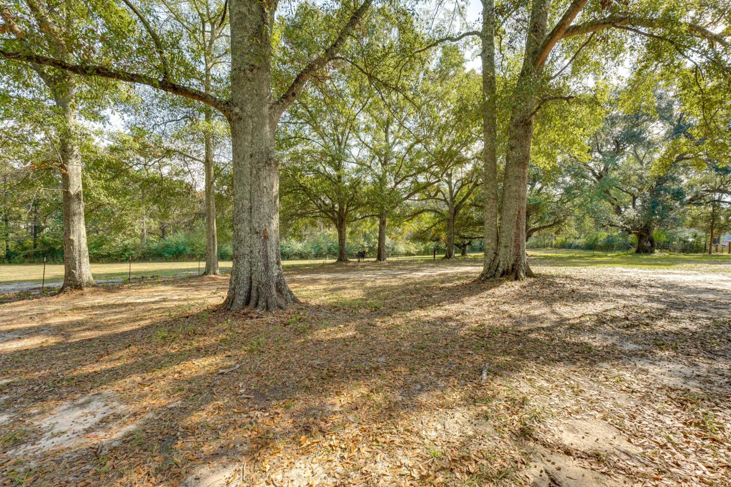 6 Mi to Main St Poplarville Cabin with Pasture View