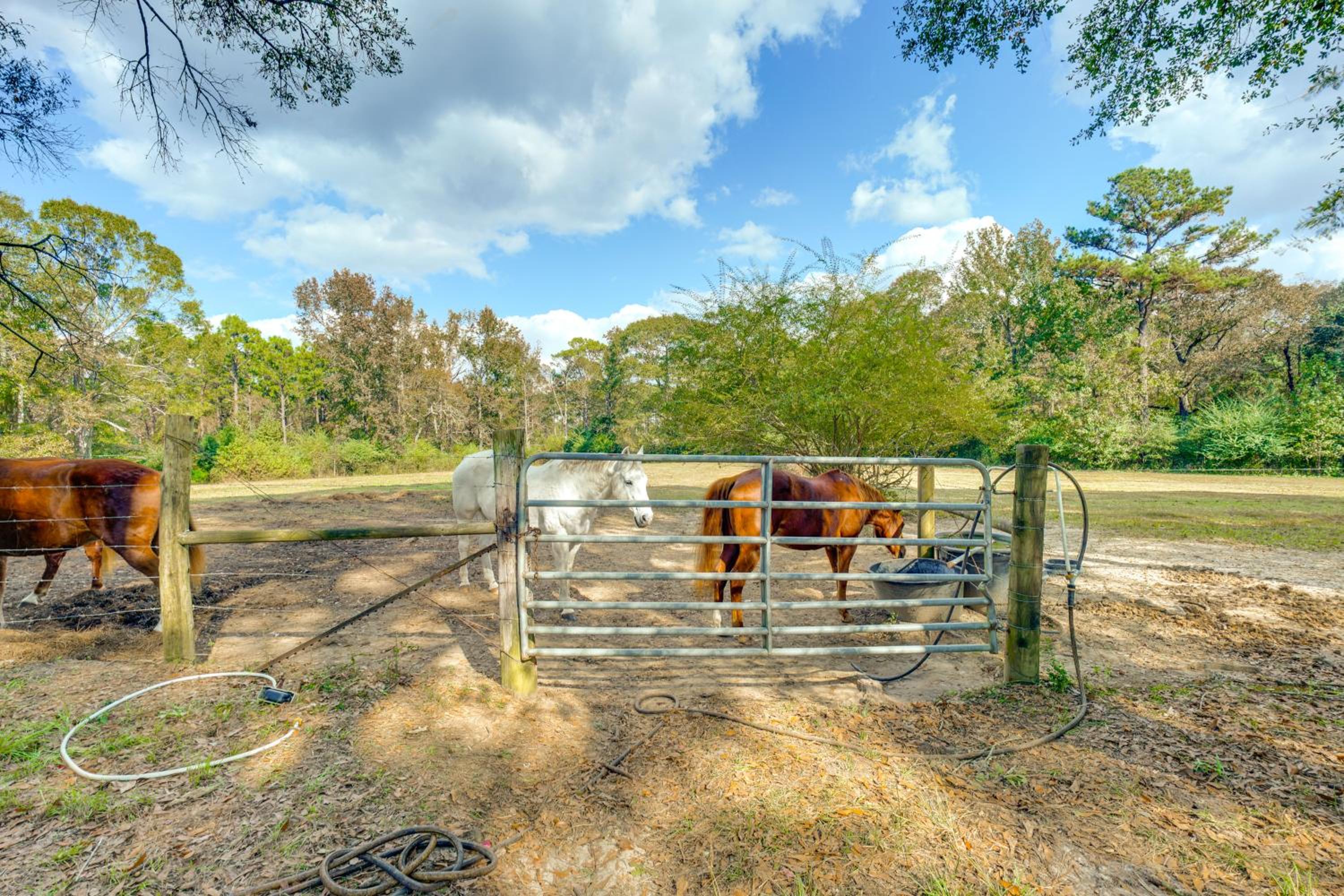 6 Mi to Main St Poplarville Cabin with Pasture View