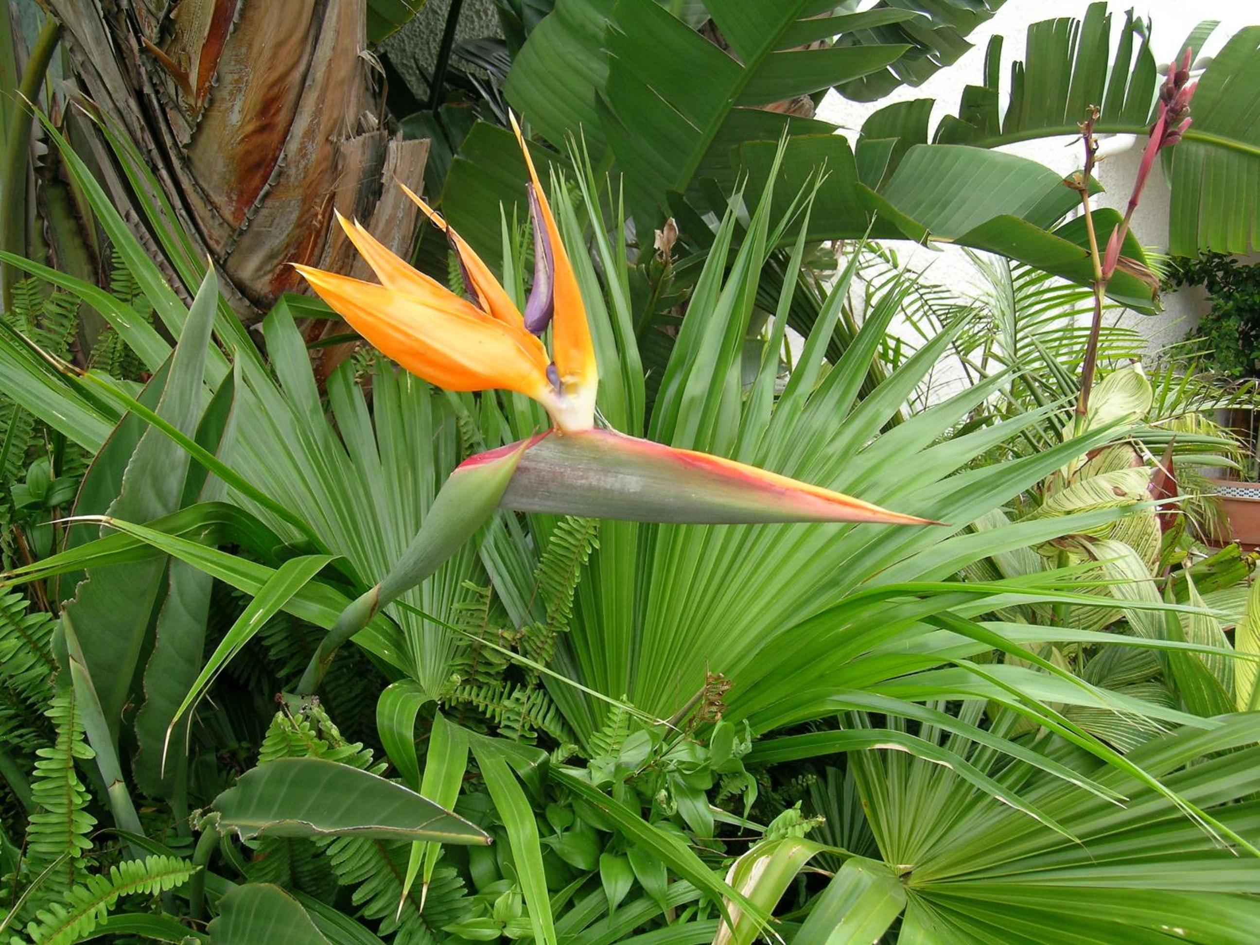 Photo 45