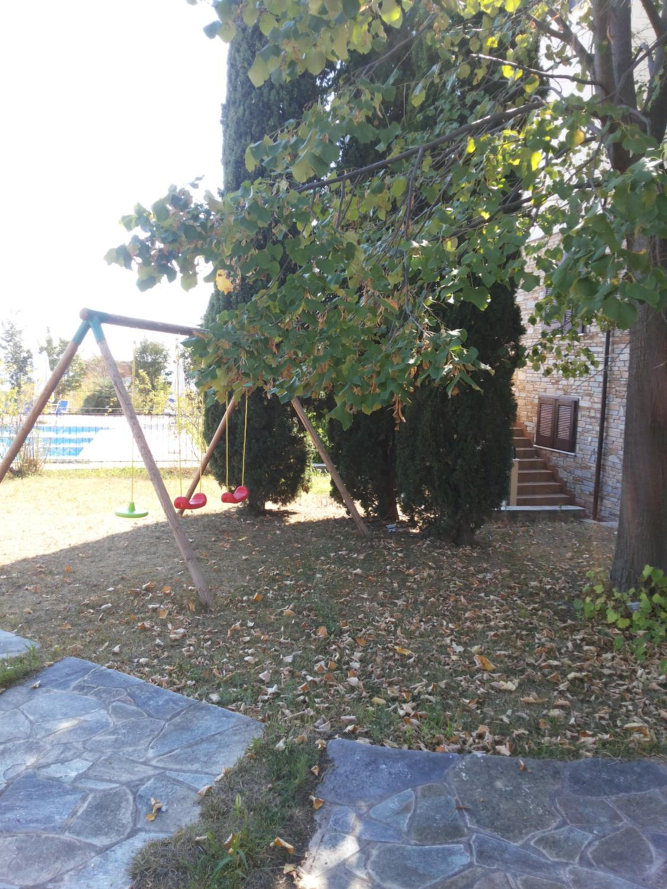 Photo 219