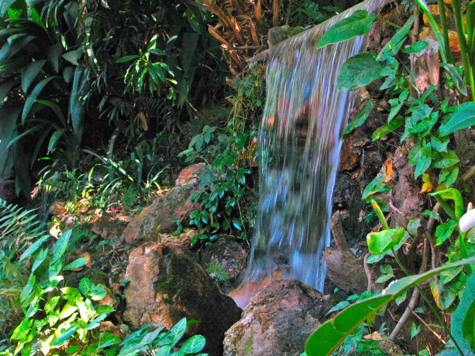 Photo 46