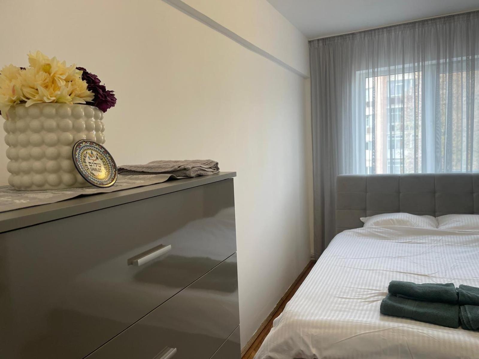 Apartamentul lui Radu