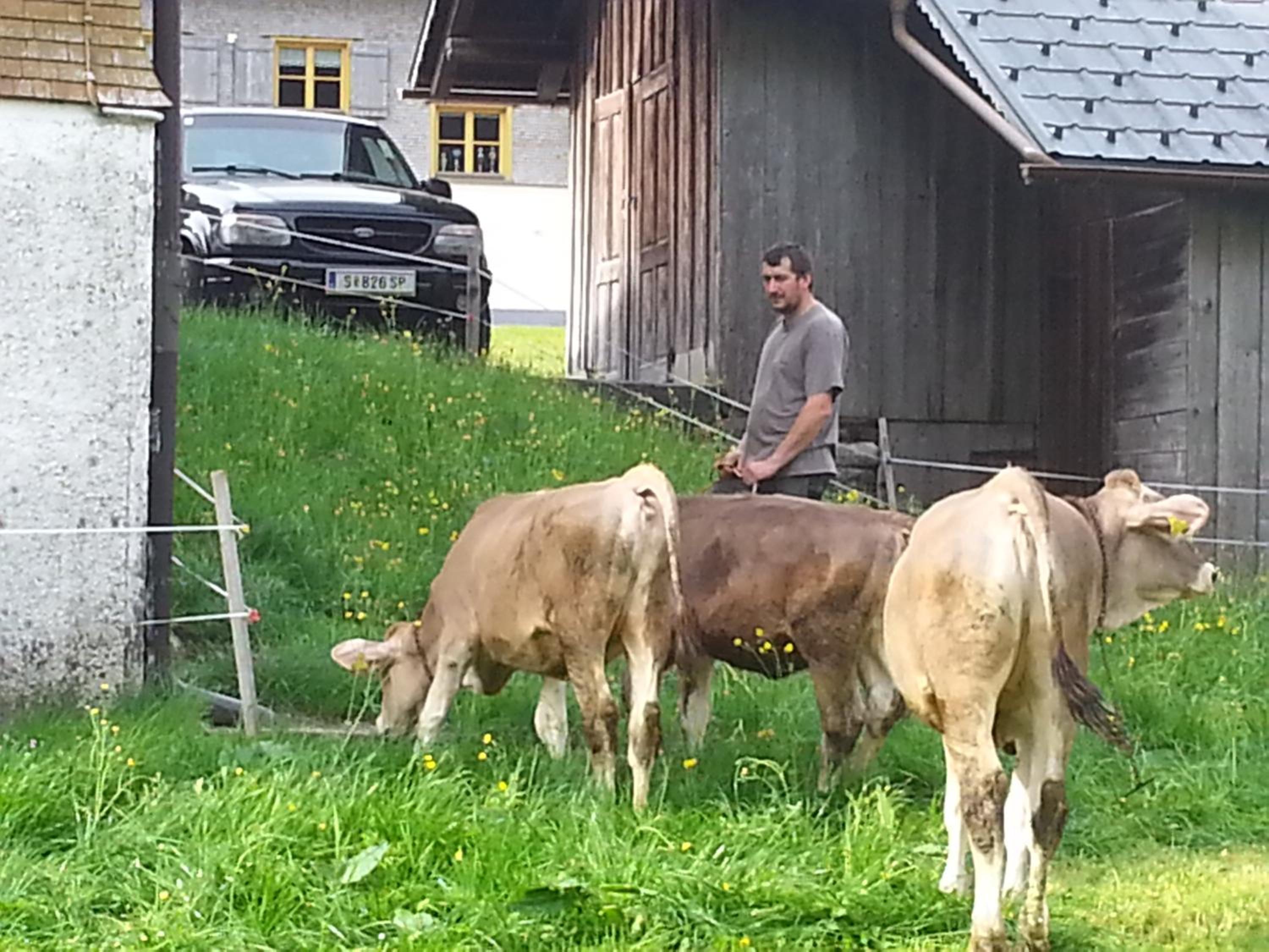 Bauernhof Dünser