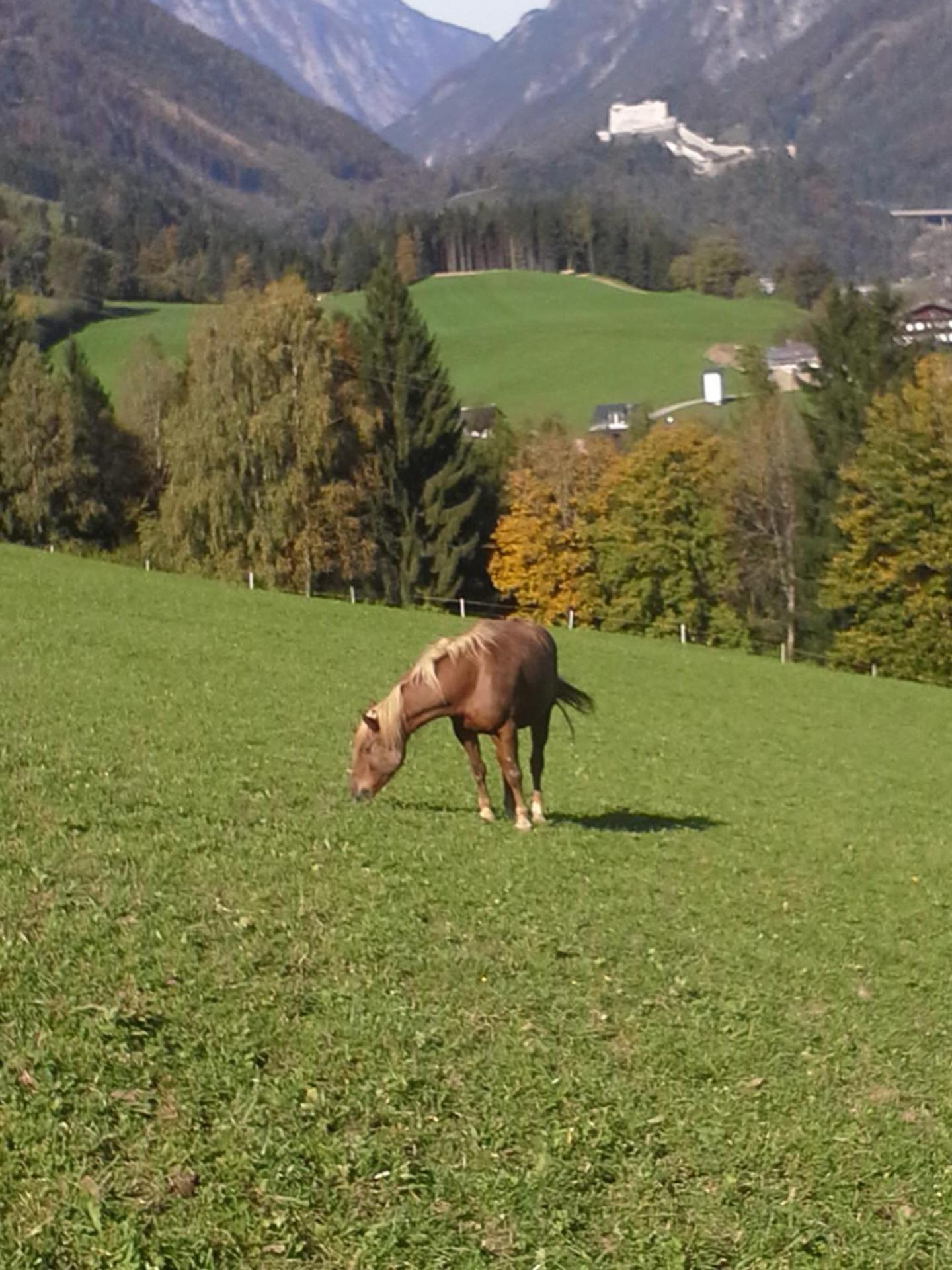 Unterschwabegghof