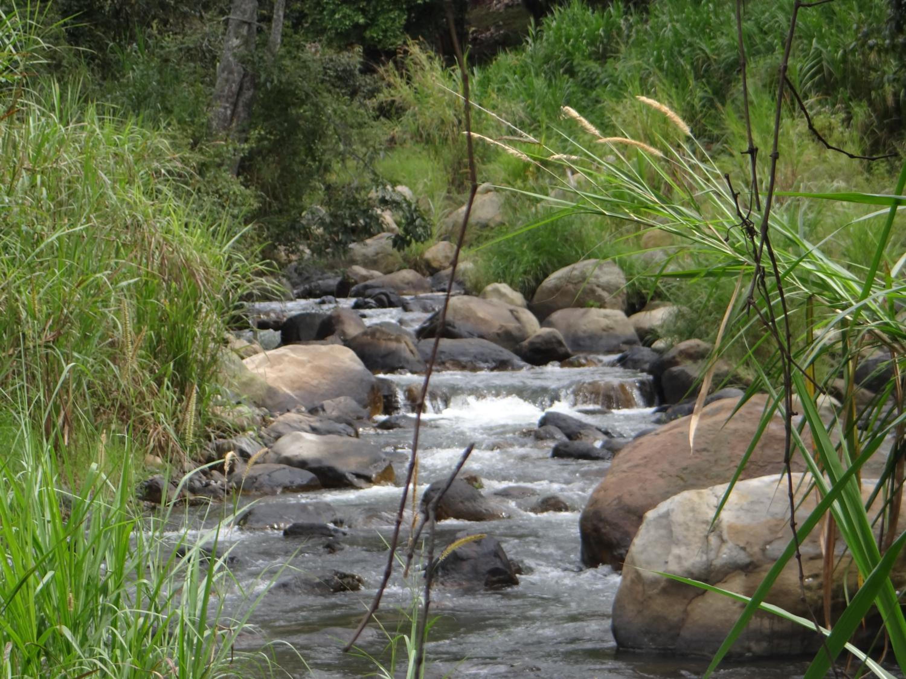 Photo 45
