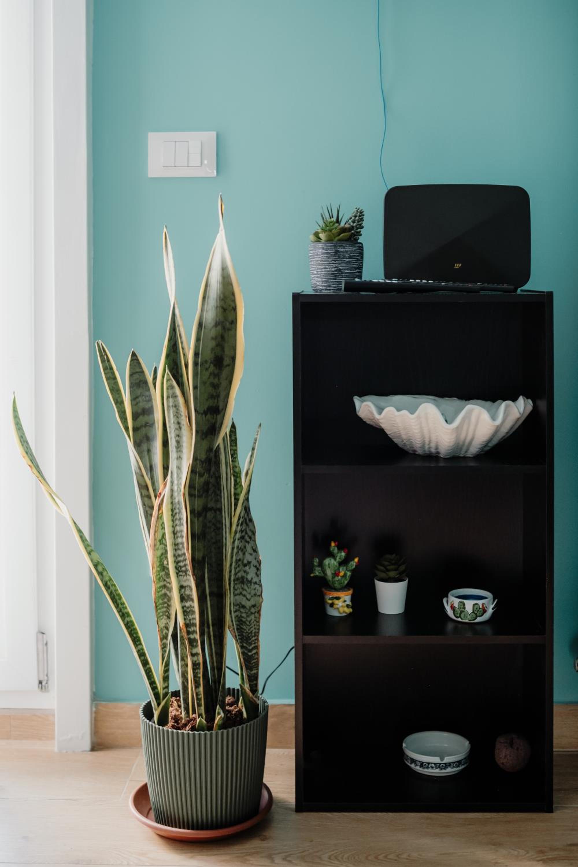 Sarina's apartment