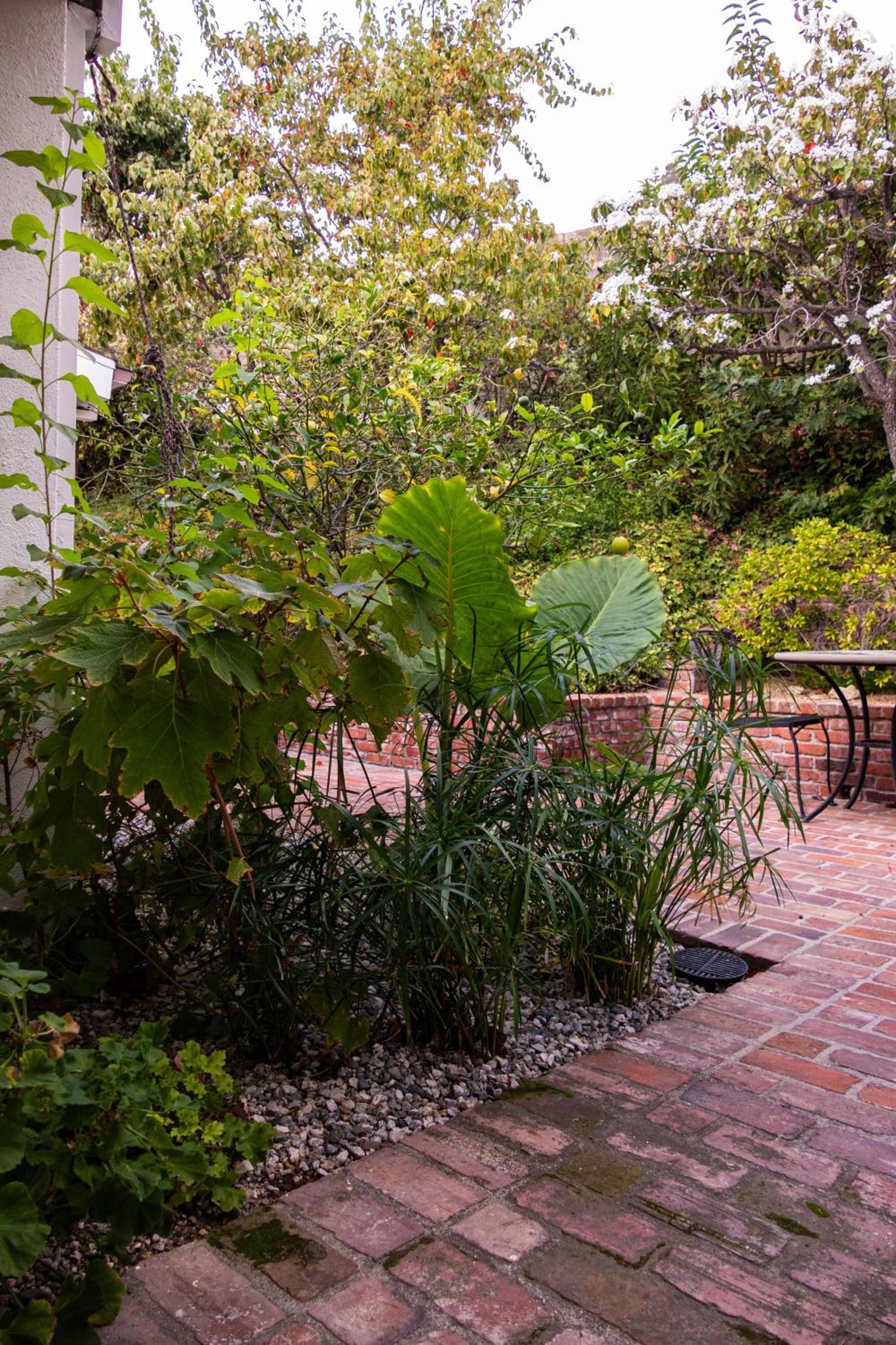 Bella Villa near Beverly Hills Amazing City view and hot tub