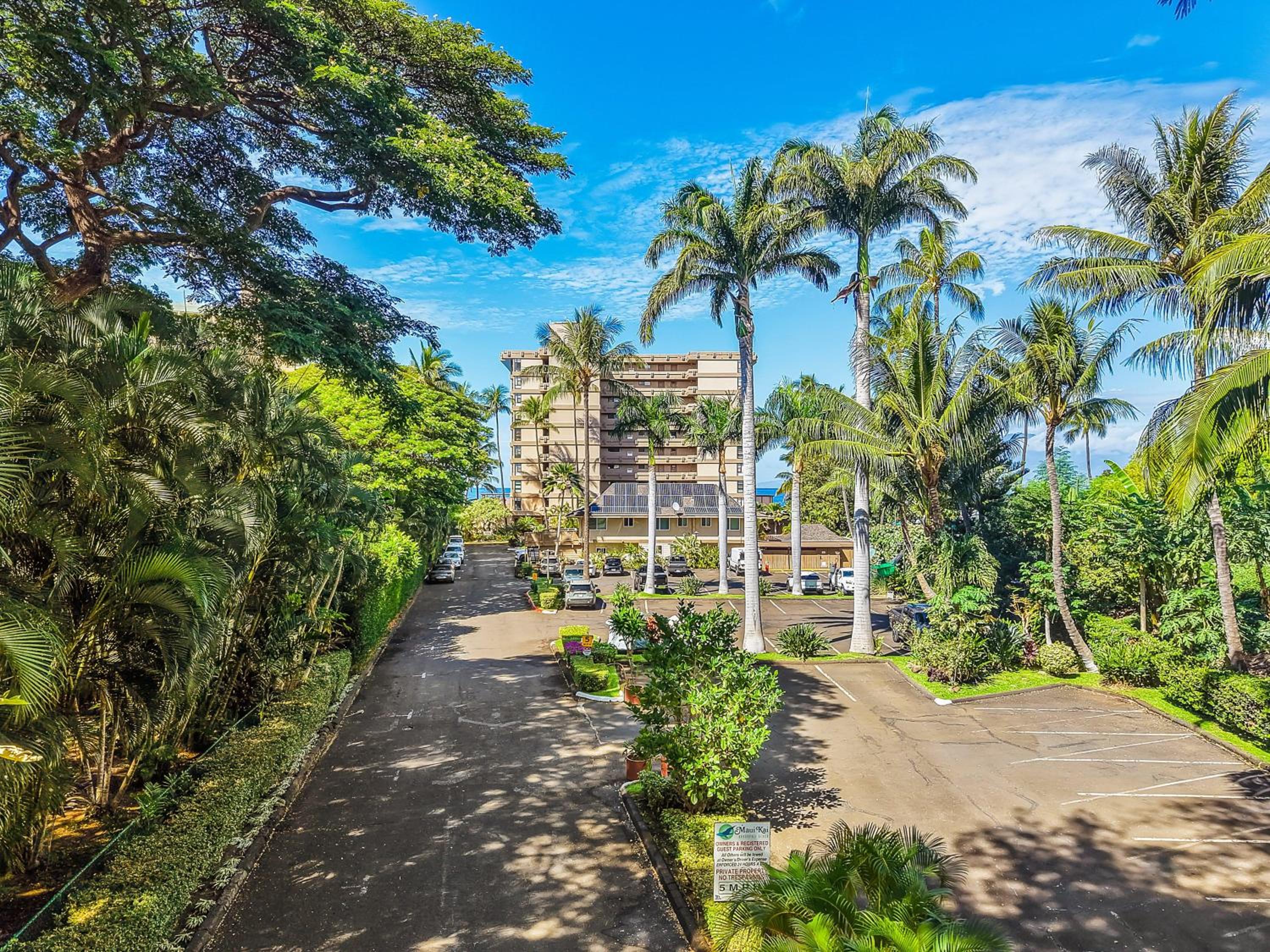 Maui Kai 206 · MK 206 Updated OceanFront Studio w Pool AC Views
