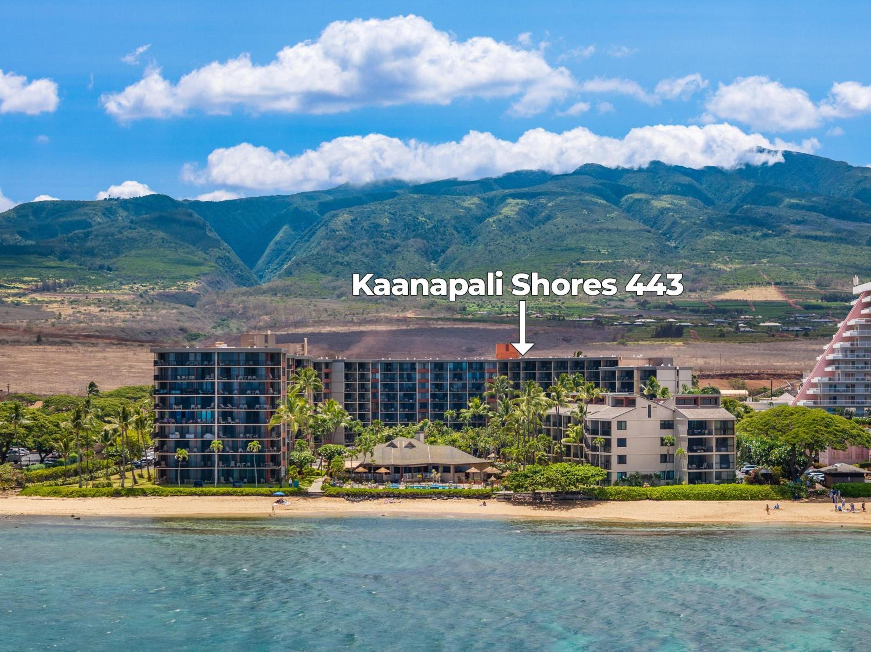 Kaanapali Shores 443 · KS 443 Oceanview Getaway 1BD Condo West M