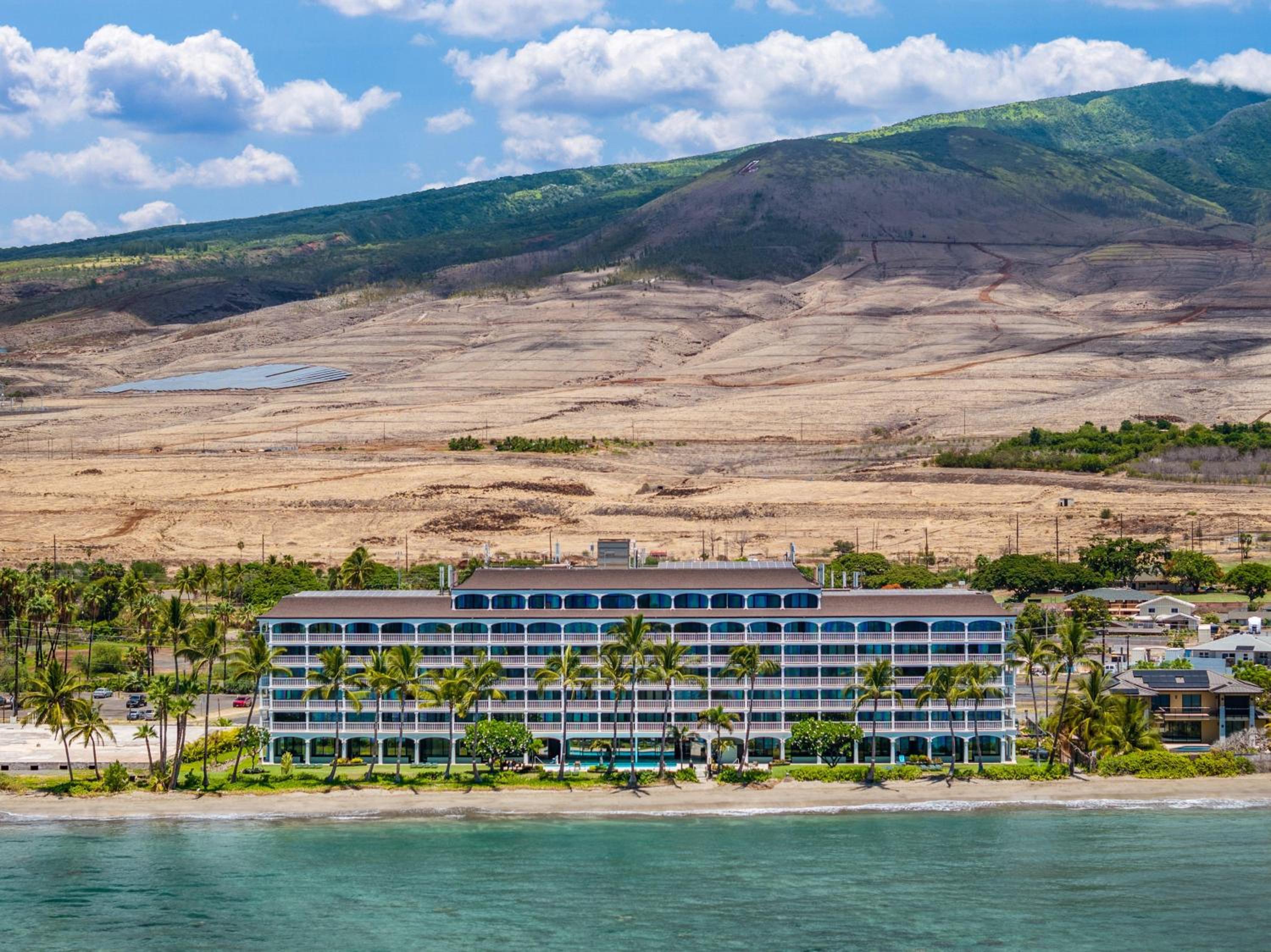 Lahaina Shores 428 · LS 428 Dream Vacation Studio by the Beach a