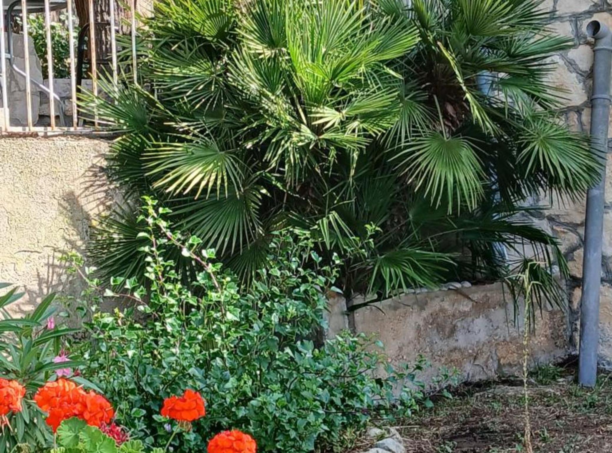 Apartmani Green Oasis