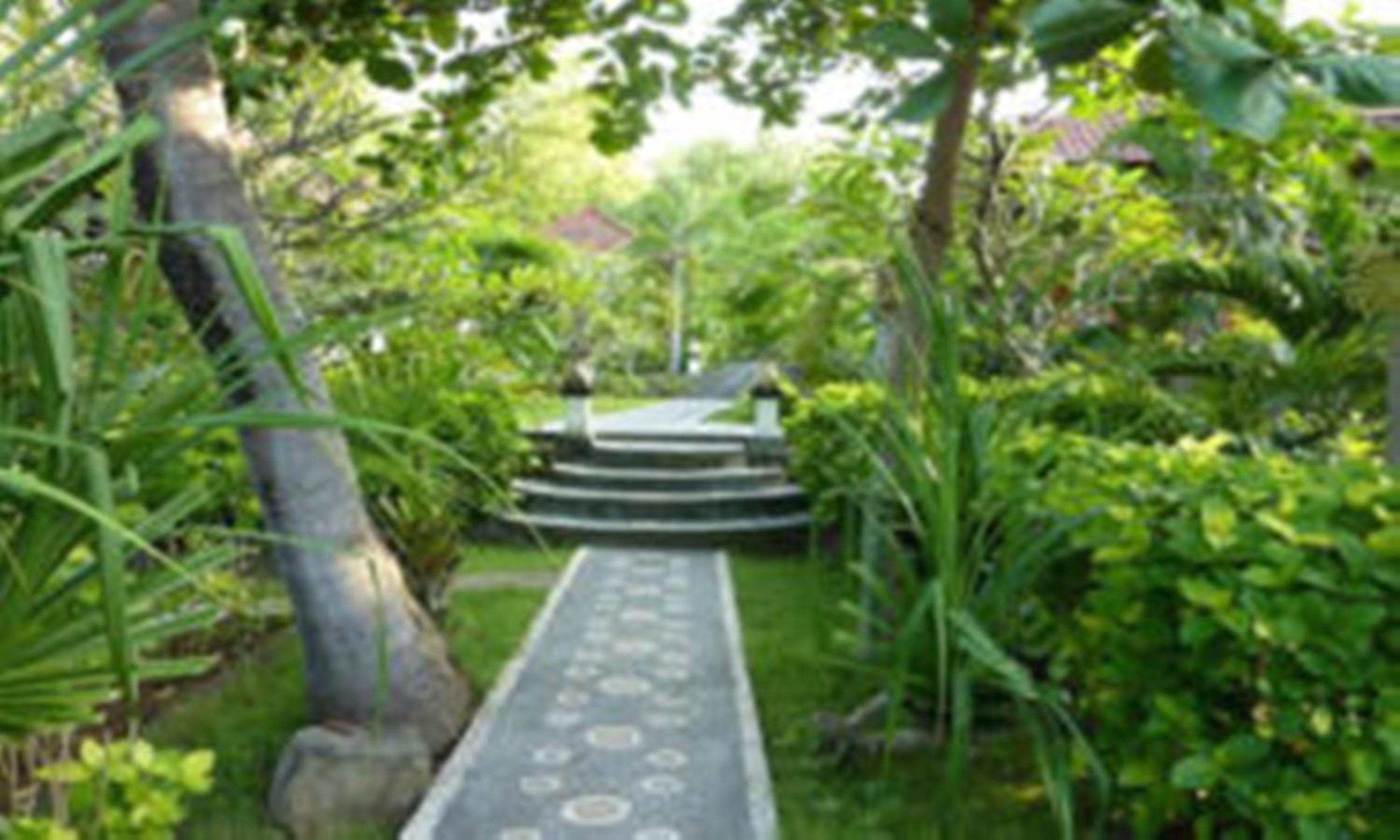 Photo 46