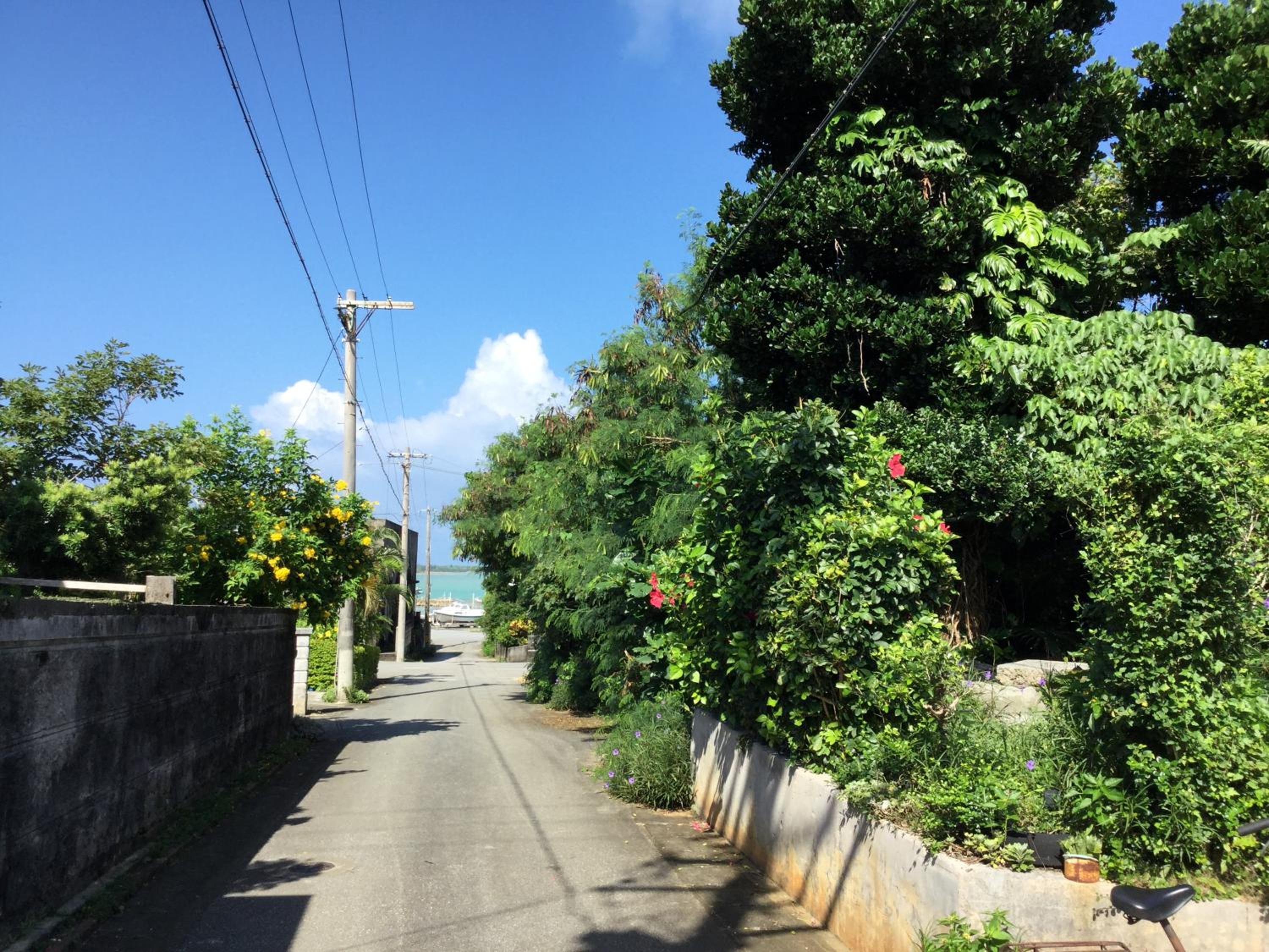 Photo 46